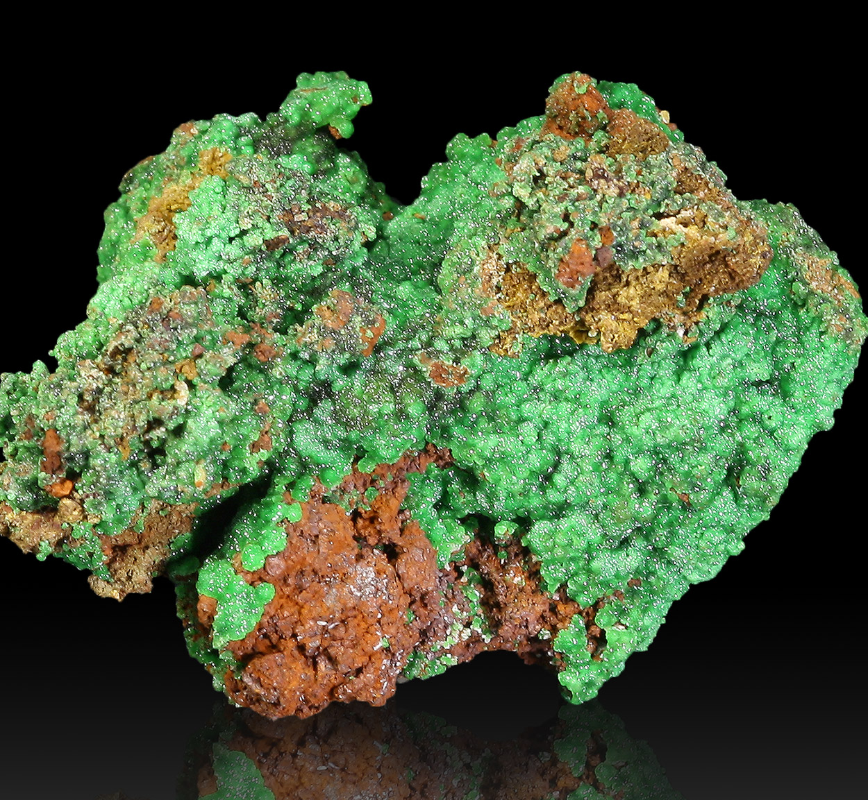 Conichalcite & Cuprian Adamite