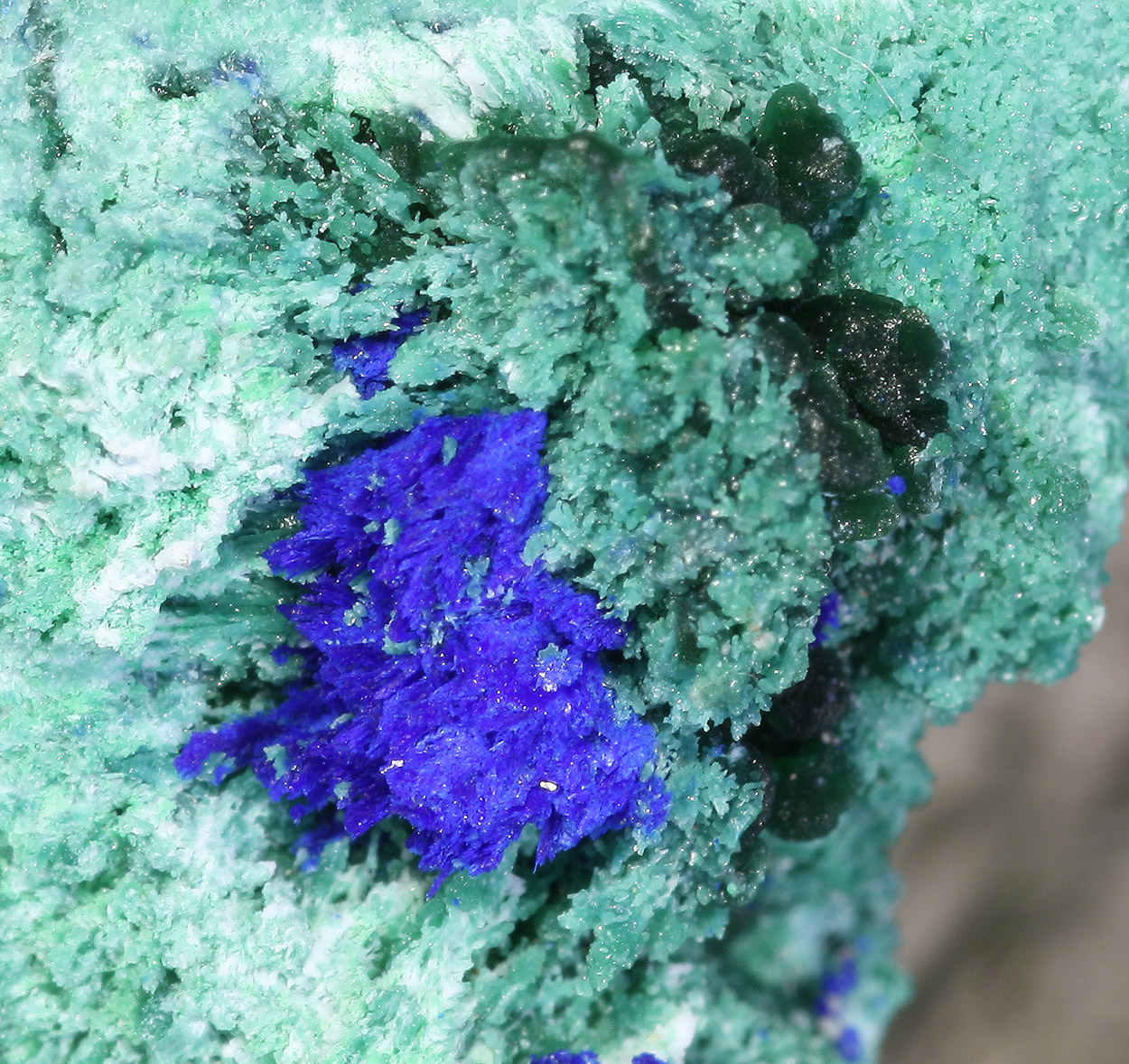 Olivenite Conichalcite Azurite & Arsenocrandallite