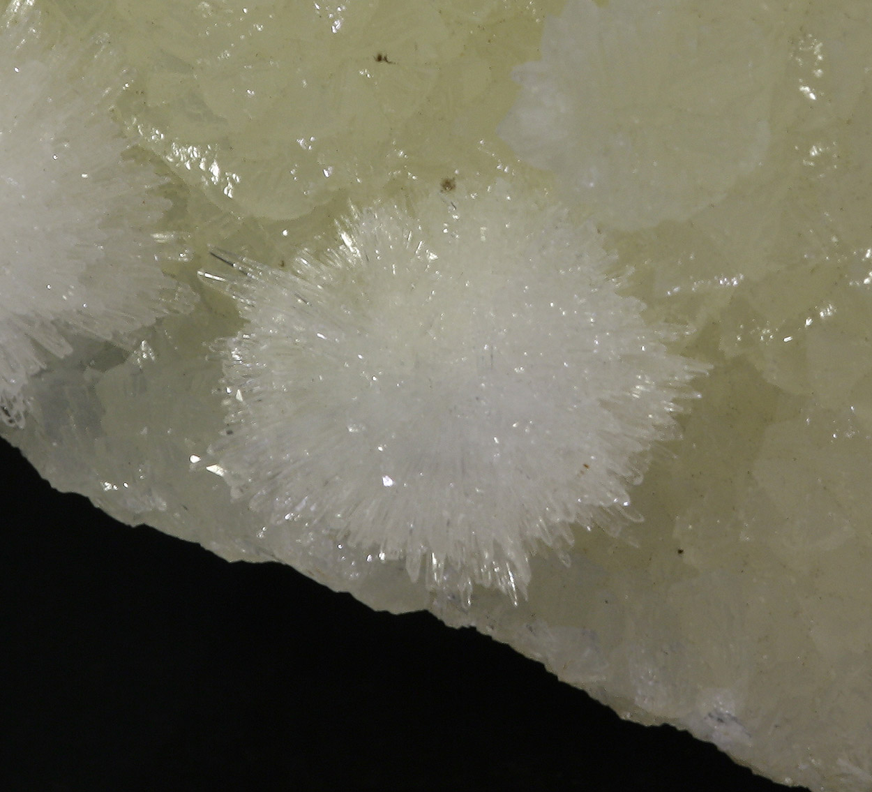 Aragonite & Calcite