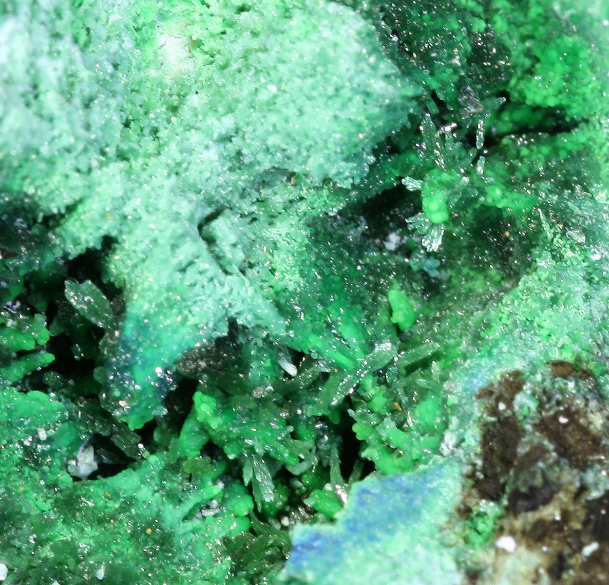 Olivenite Conichalcite & Arsenocrandallite