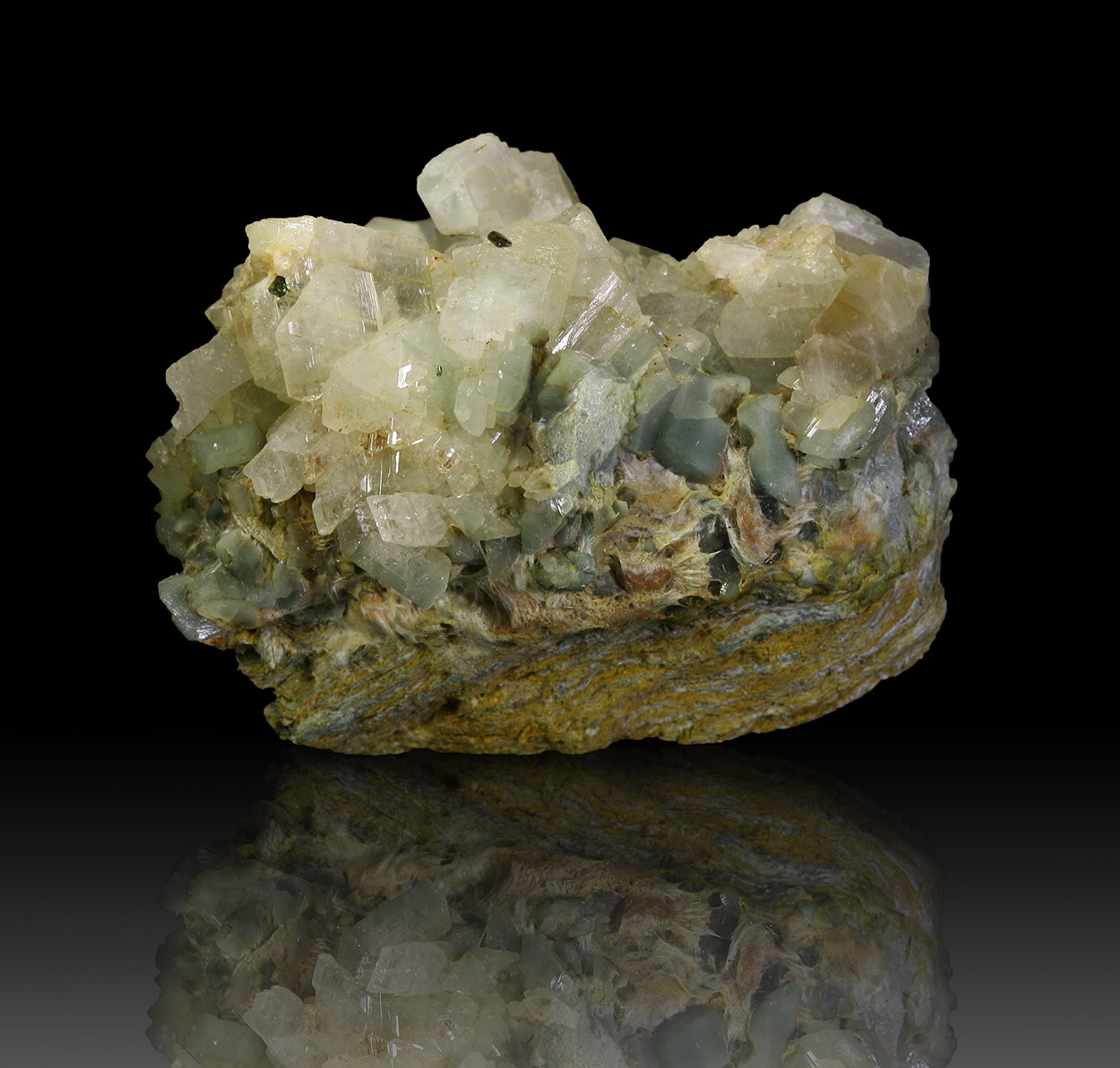 Albite & Epidote