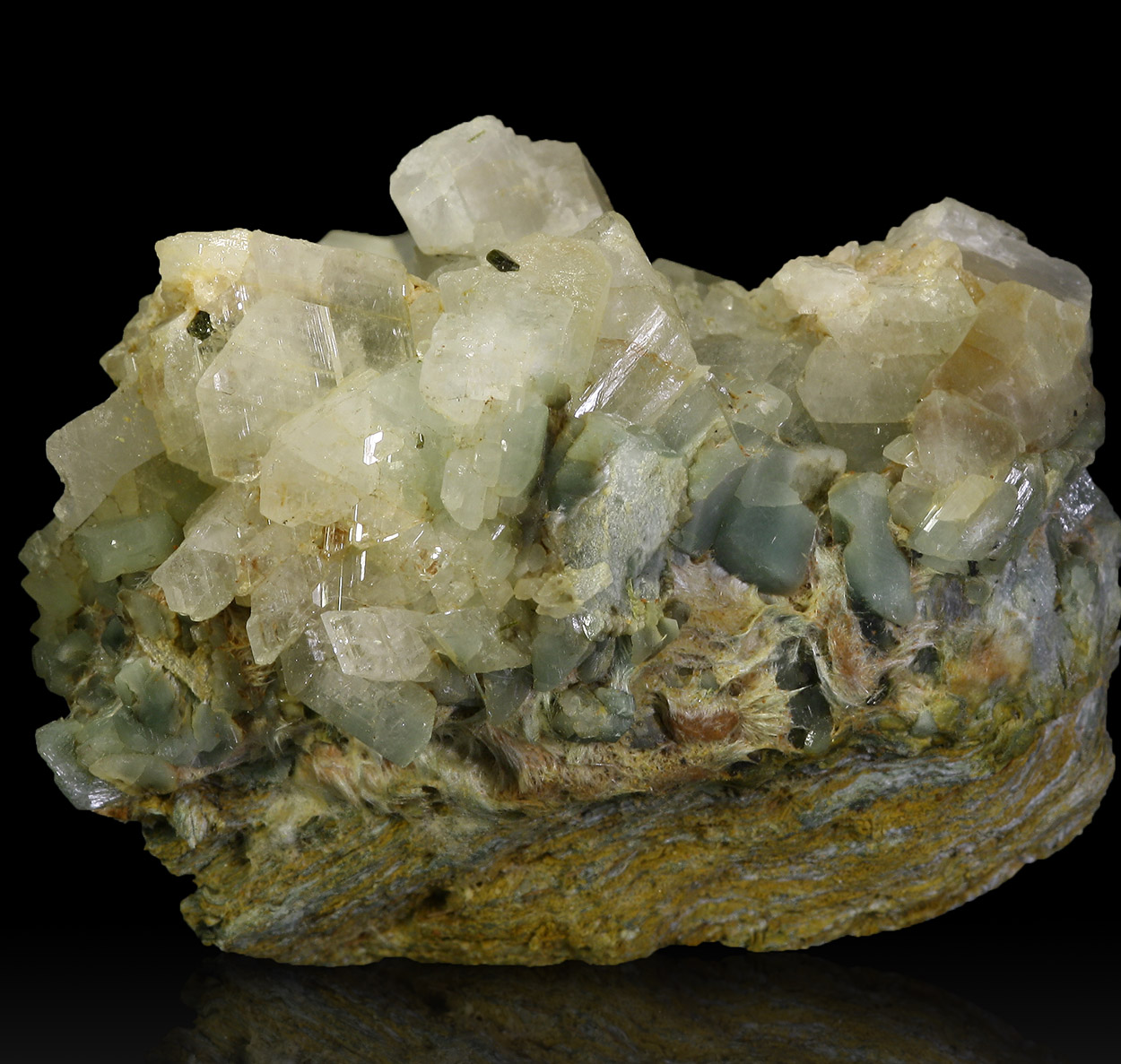 Albite & Epidote