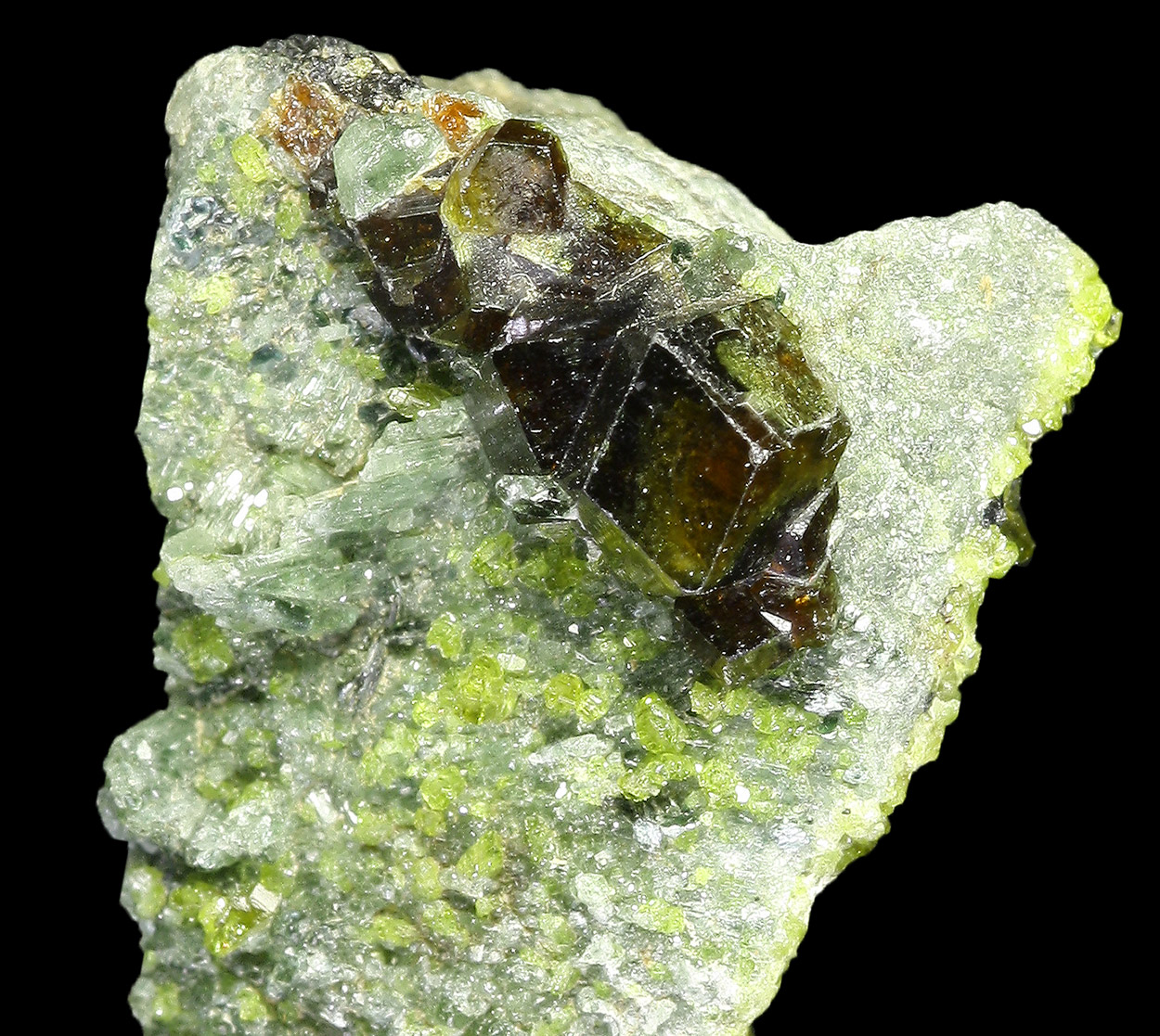 Andradite Diopside & Epidote