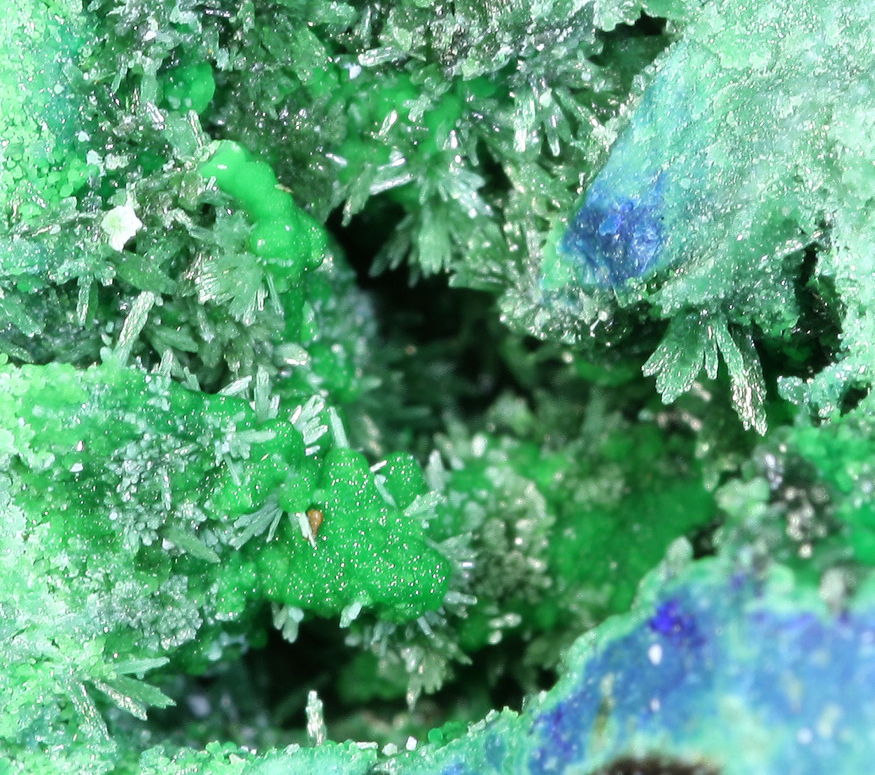 Olivenite Arsenocrandallite Conichalcite & Azurite