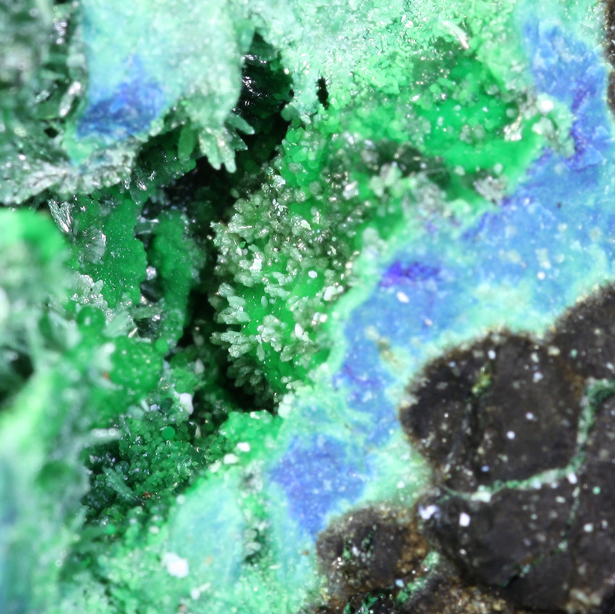 Olivenite Arsenocrandallite Conichalcite & Azurite