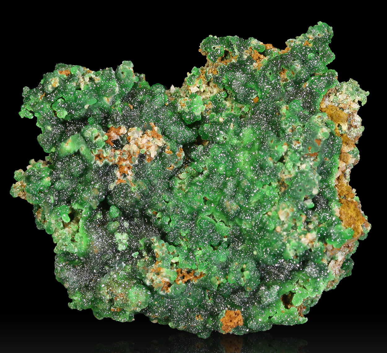 Cuprian Adamite & Conichalcite