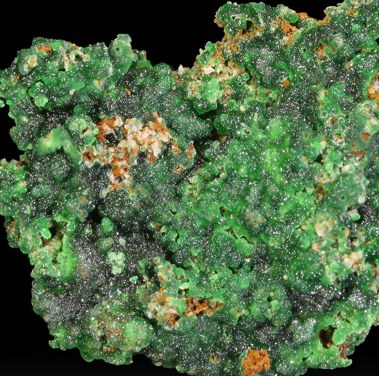 Cuprian Adamite & Conichalcite