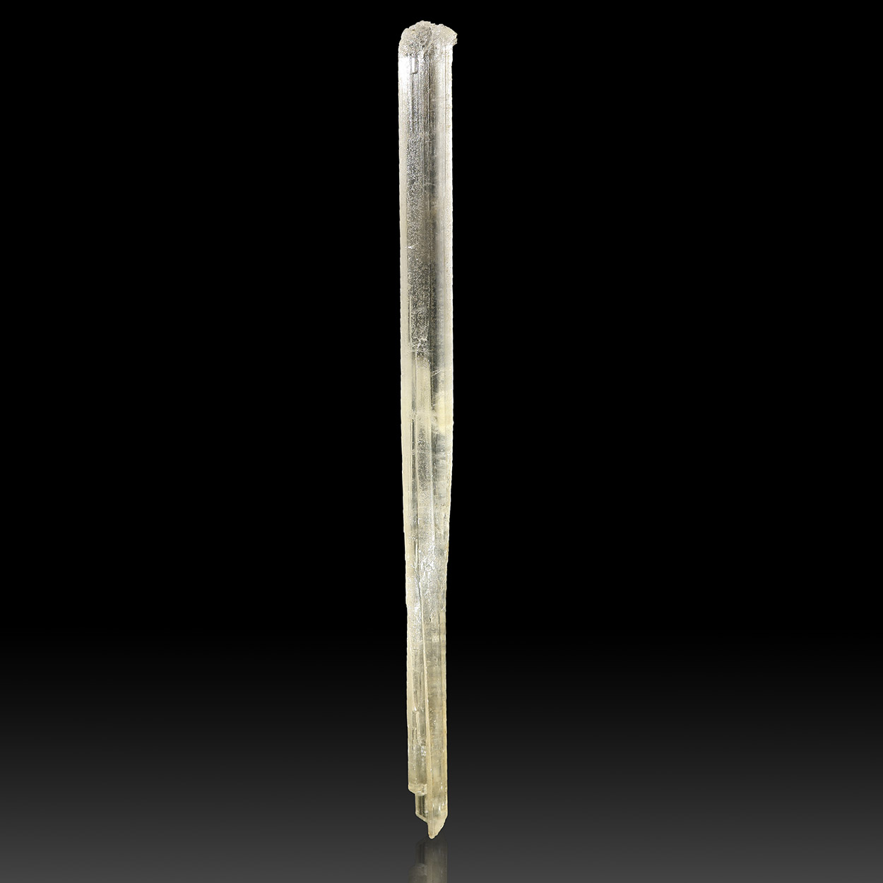 Gypsum Var Selenite