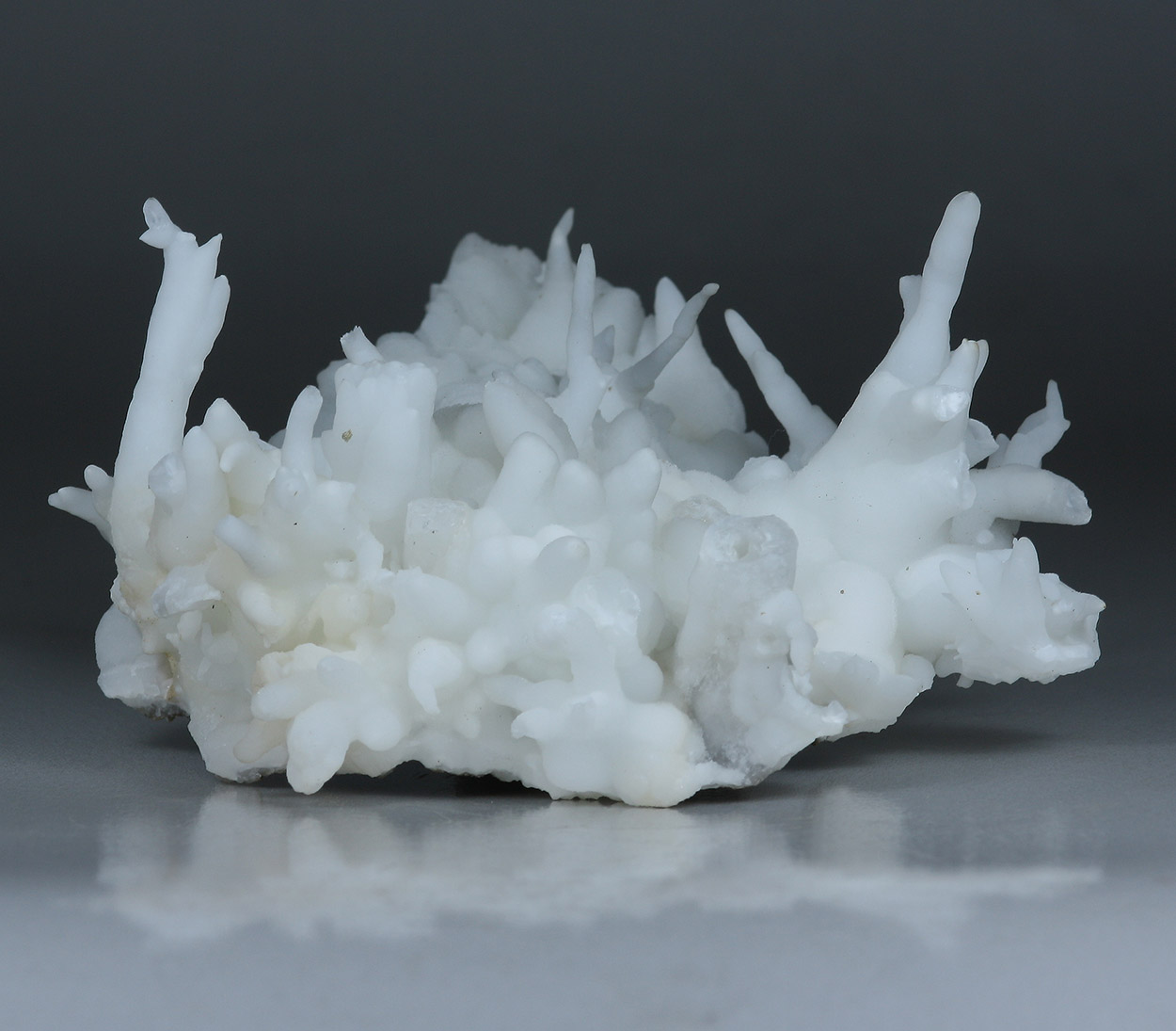 Aragonite Var Flos Ferri