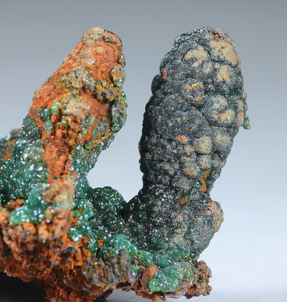 Cuprian Adamite On Limonite Psm Copper