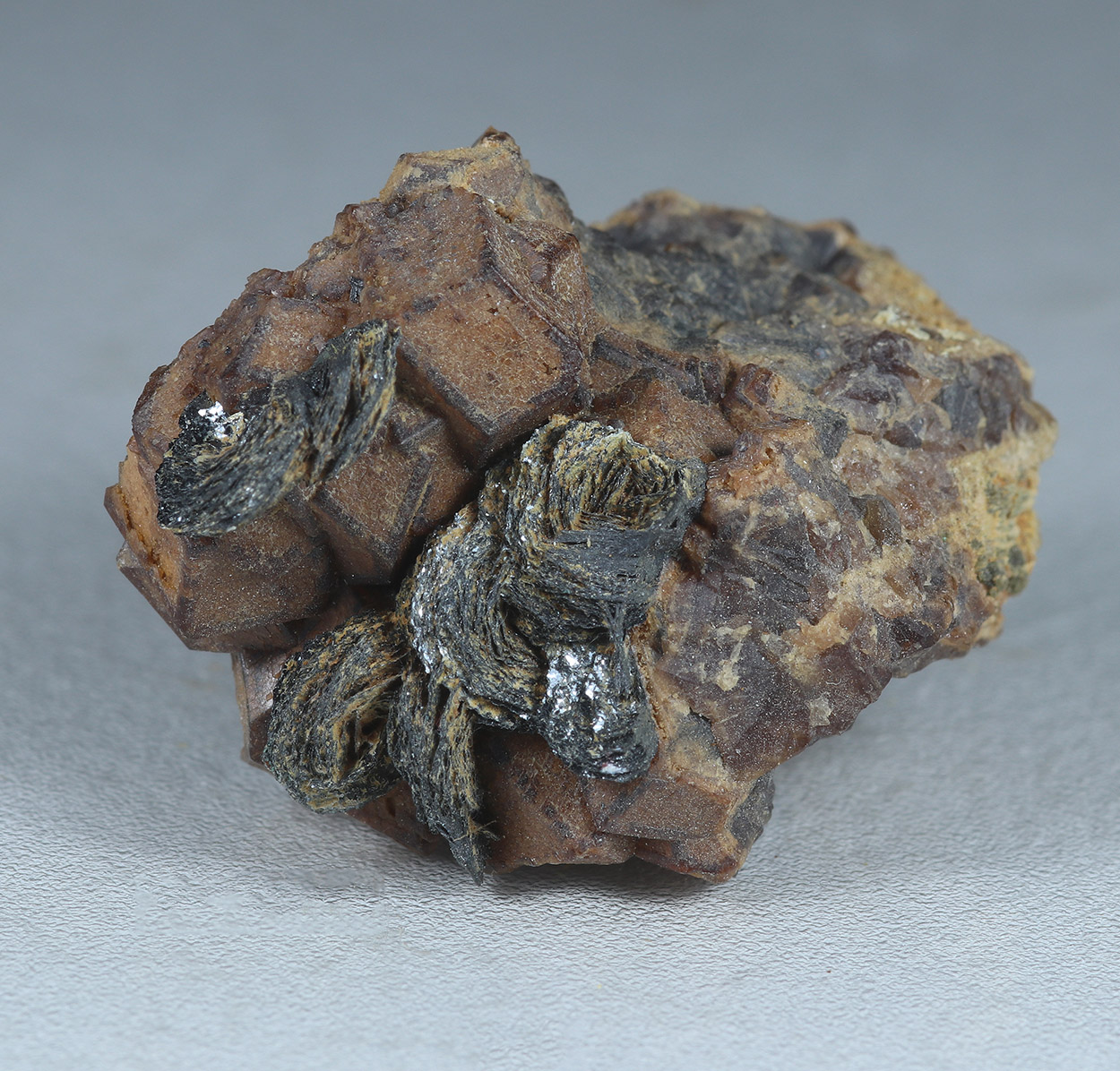 Andradite & Magnetite Psm Hematite