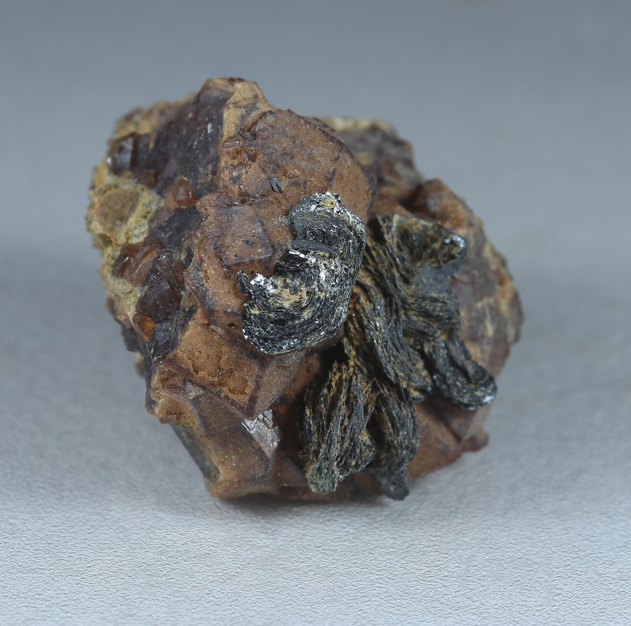 Andradite & Magnetite Psm Hematite