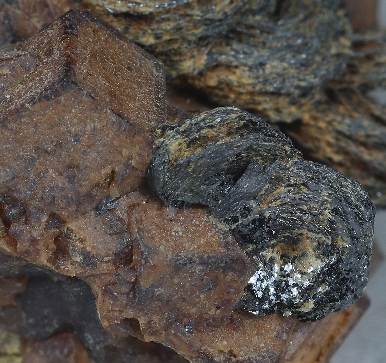 Andradite & Magnetite Psm Hematite