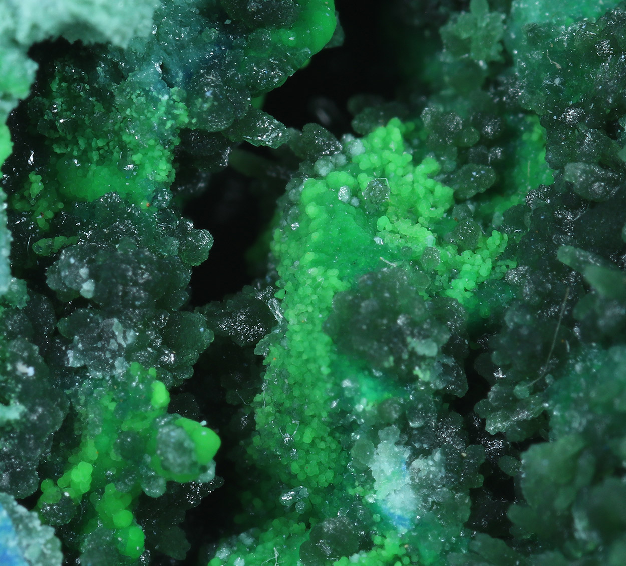 Olivenite Conichalcite & Azurite