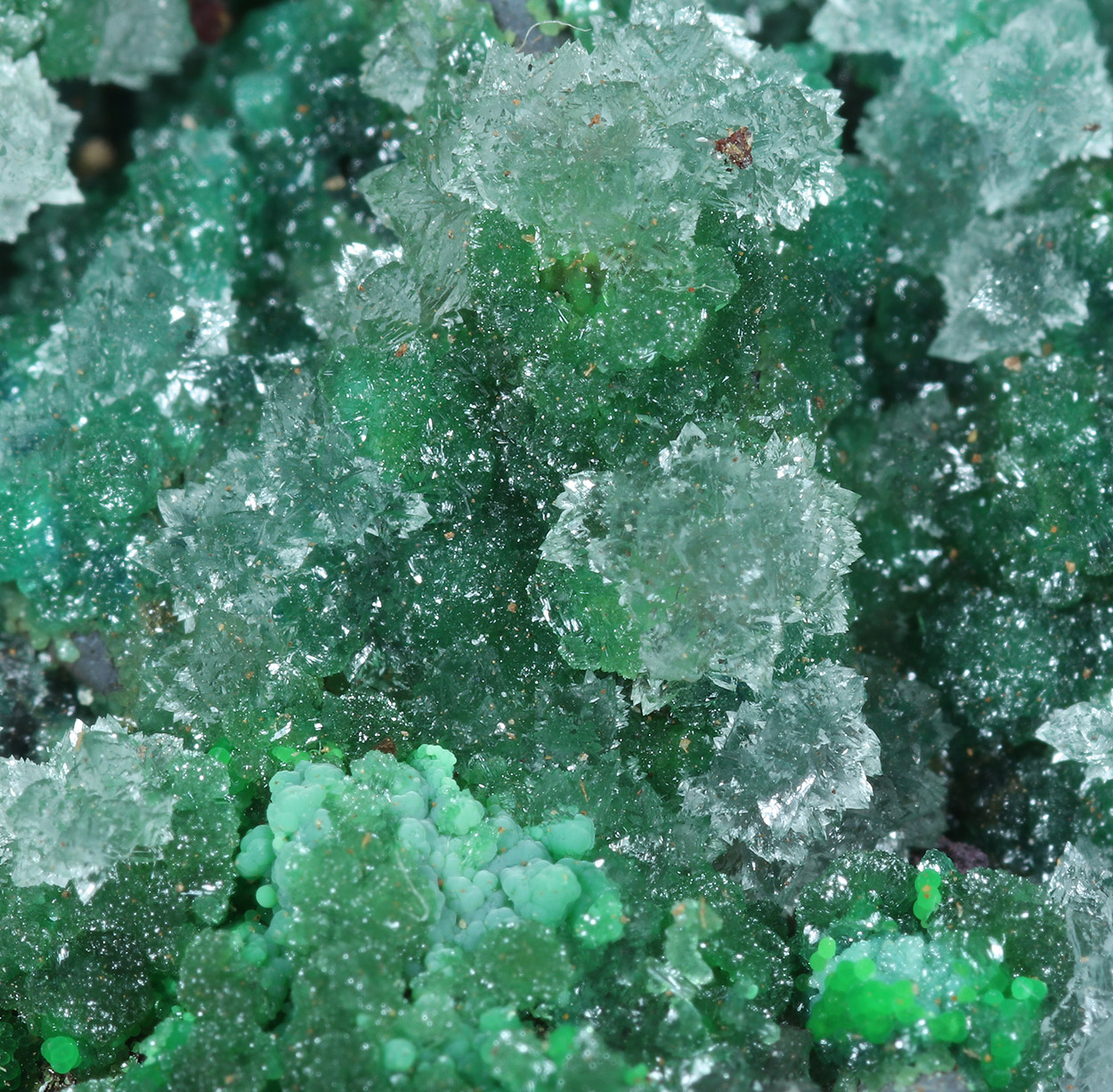 Cuprian Adamite Conichalcite & Aragonite