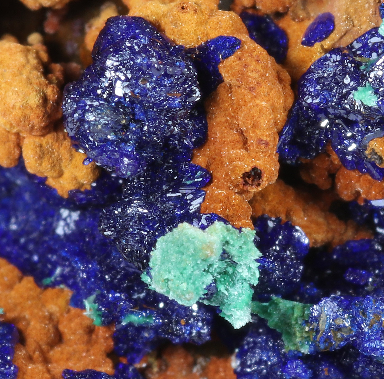 Azurite & Malachite