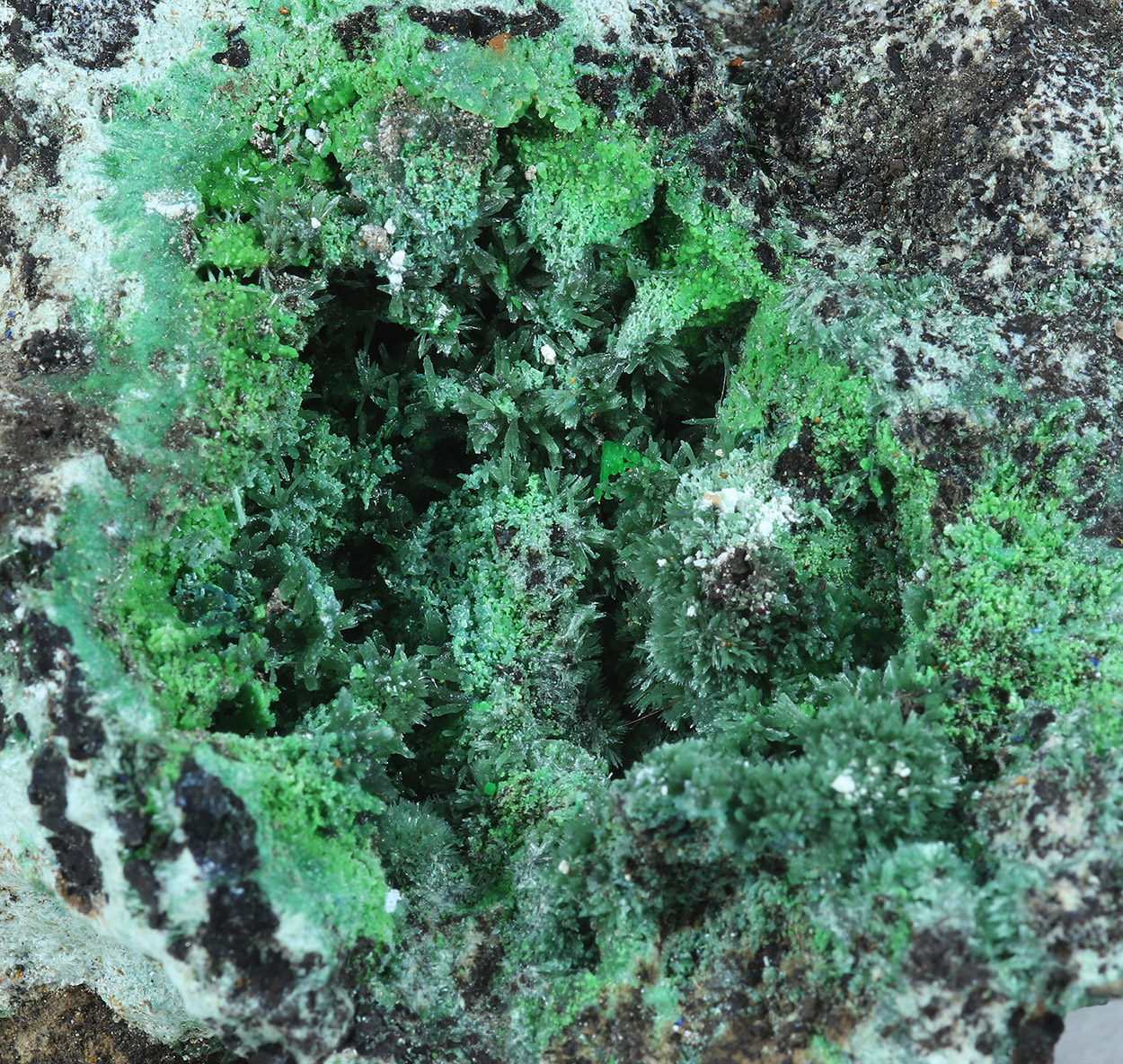 Olivenite & Conichalcite