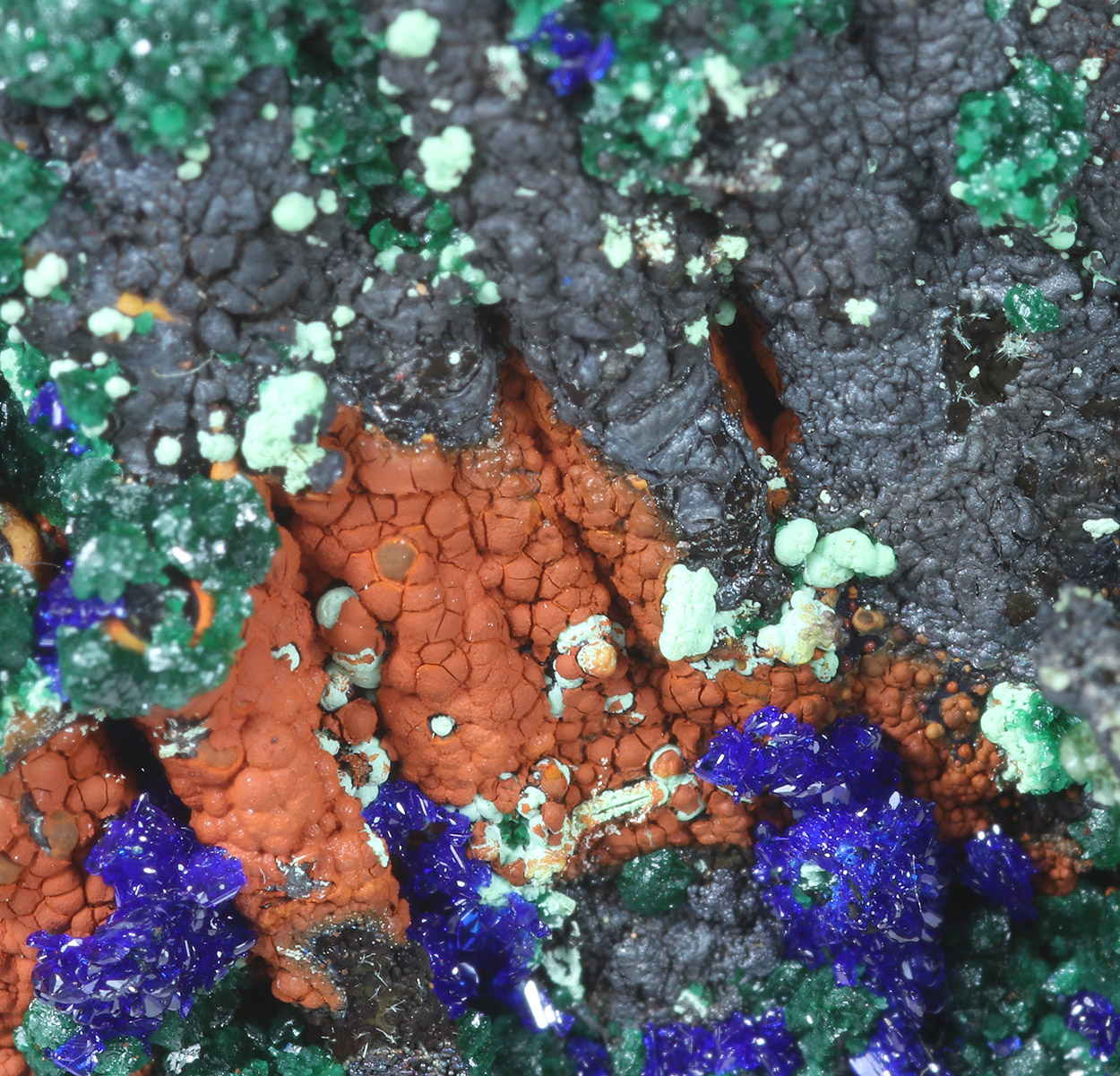 Azurite Cuprian Adamite Olivenite & Goethite