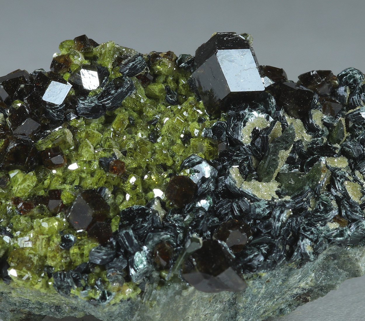 Andradite Diopside Epidote & Biotite