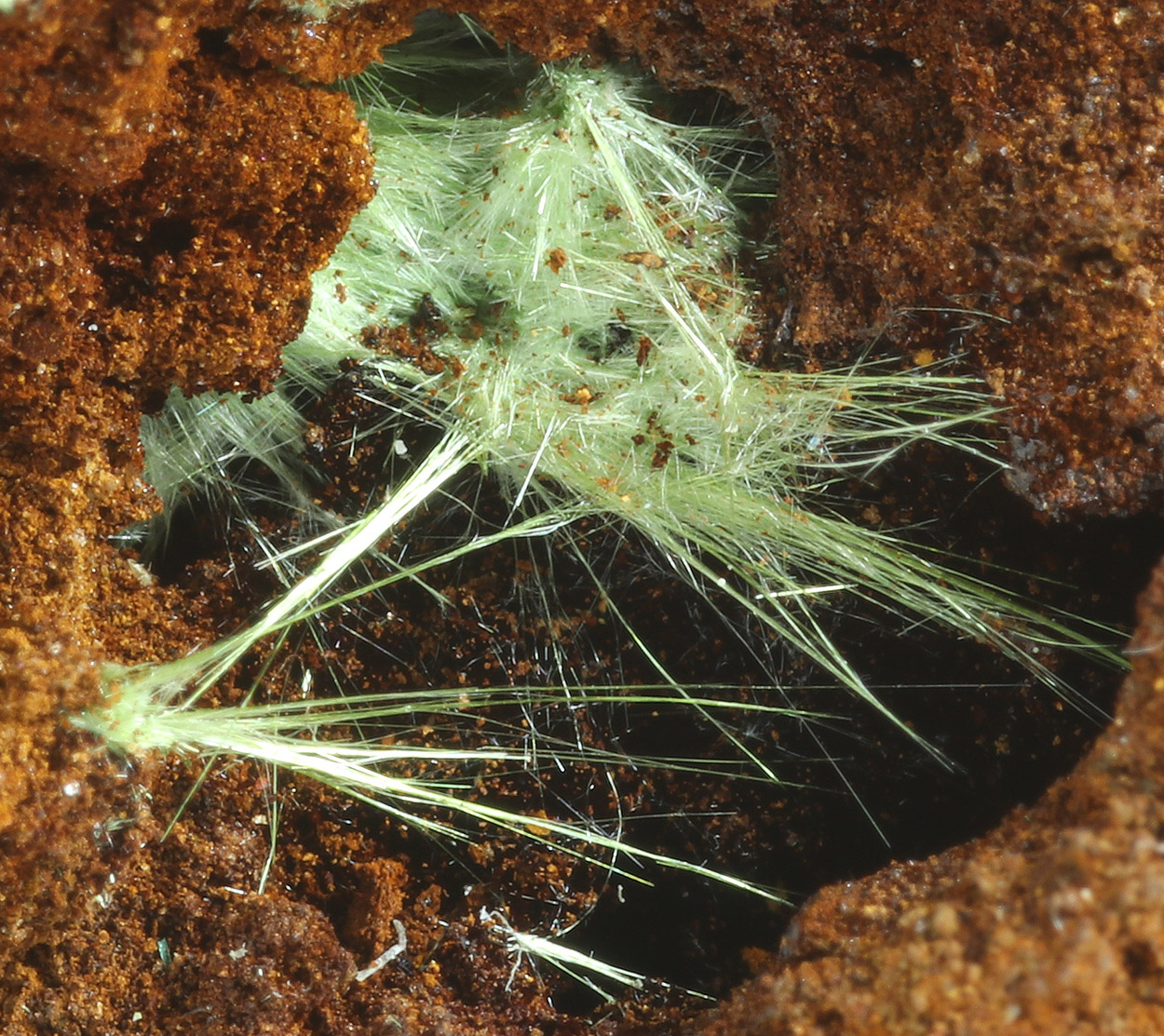 Agardite & Malachite