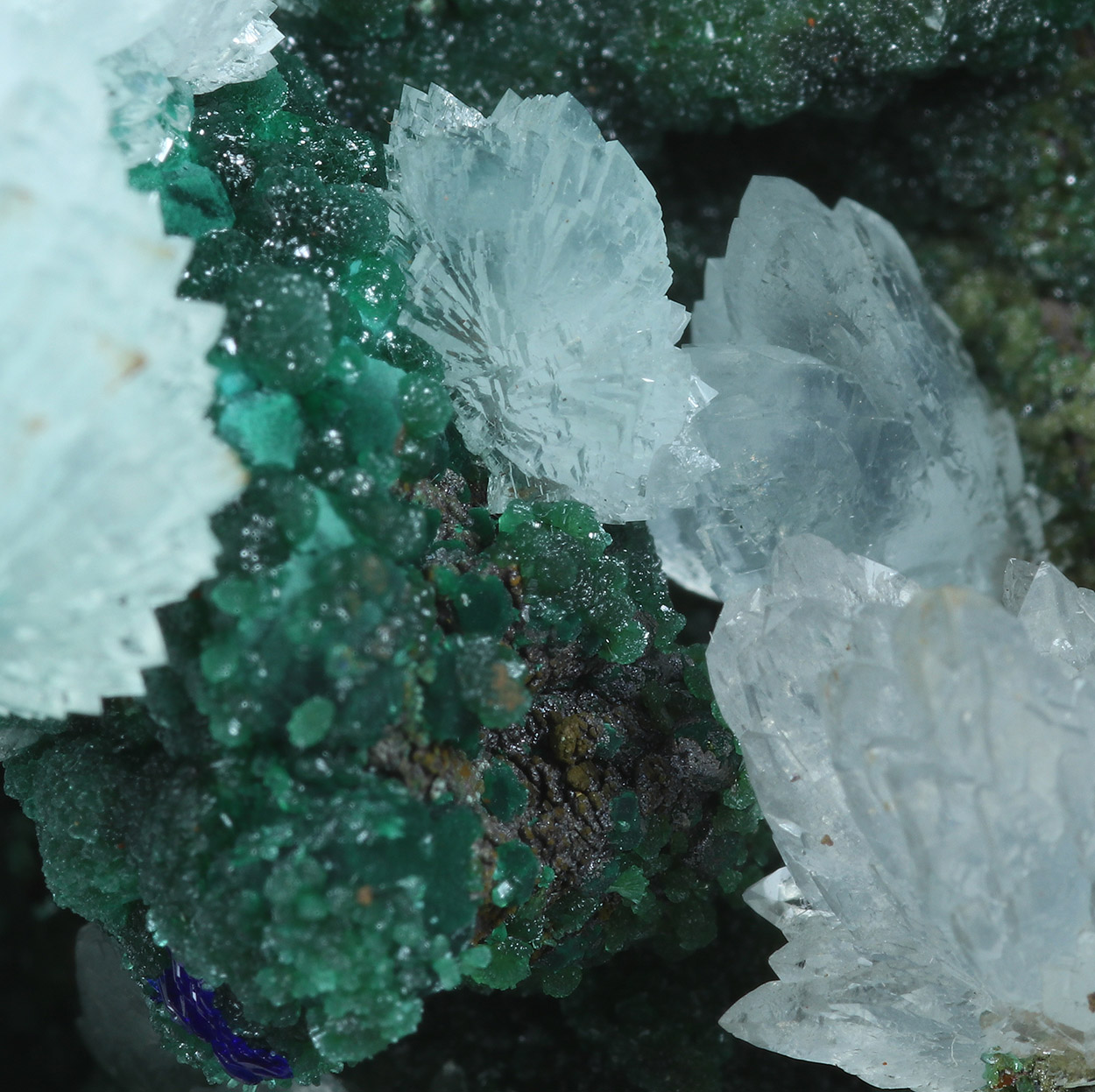 Aragonite & Cuprian Adamite