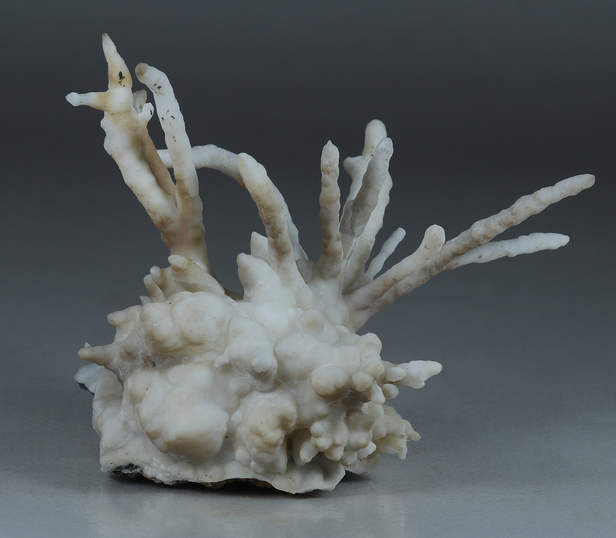 Aragonite Var Flos Ferri