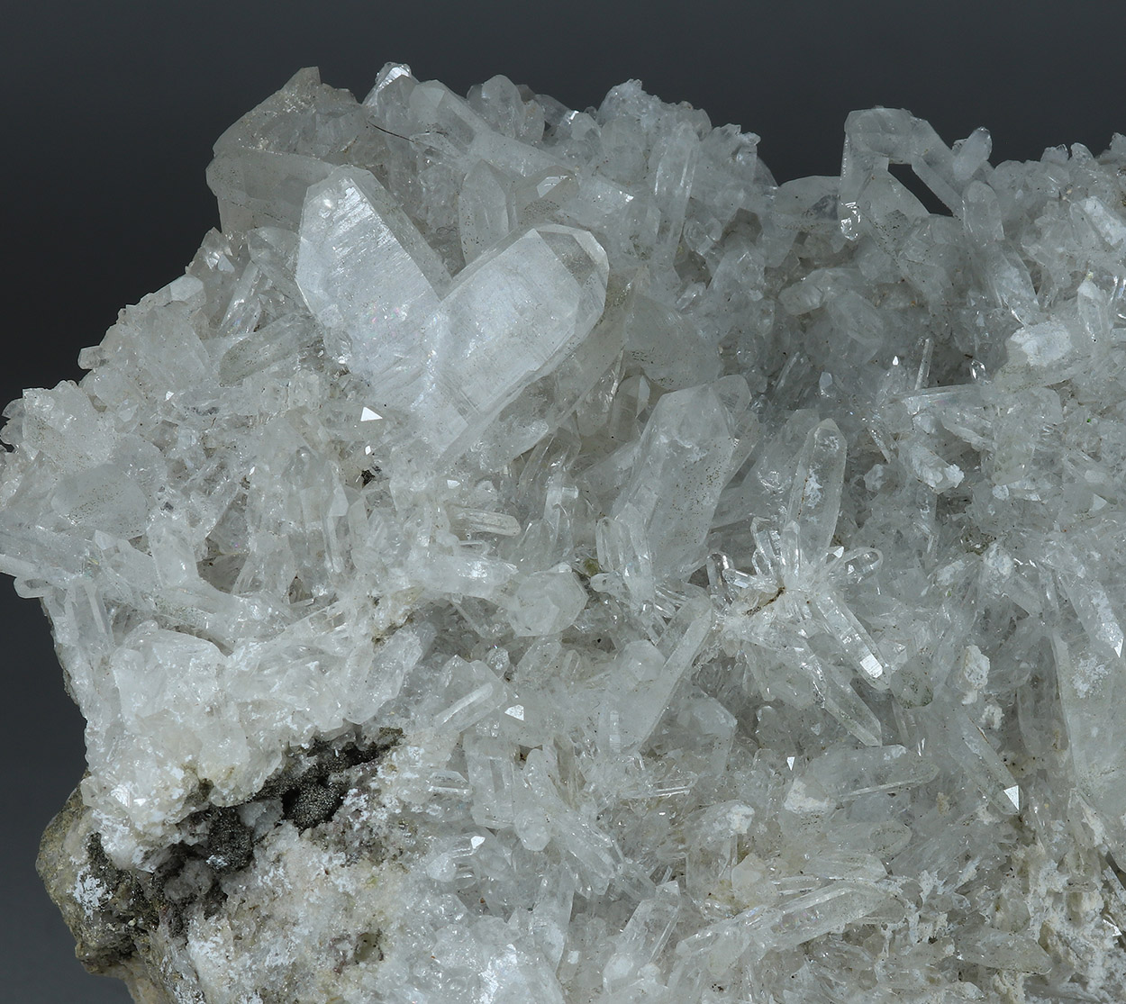 Quartz Var Japan Law