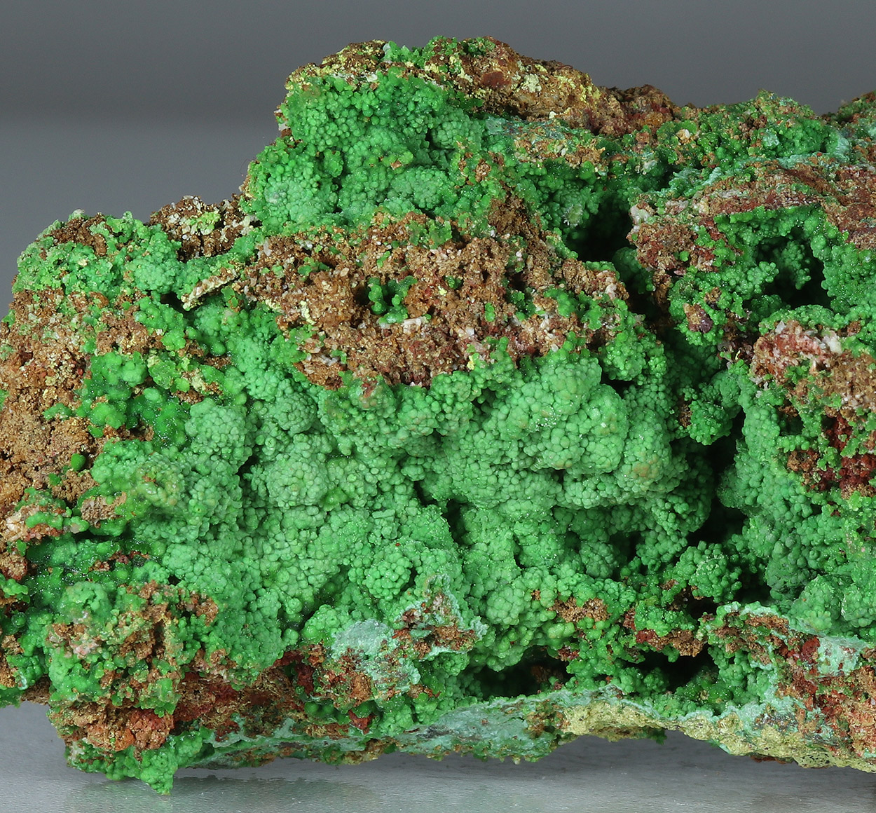 Conichalcite & Cuprian Adamite