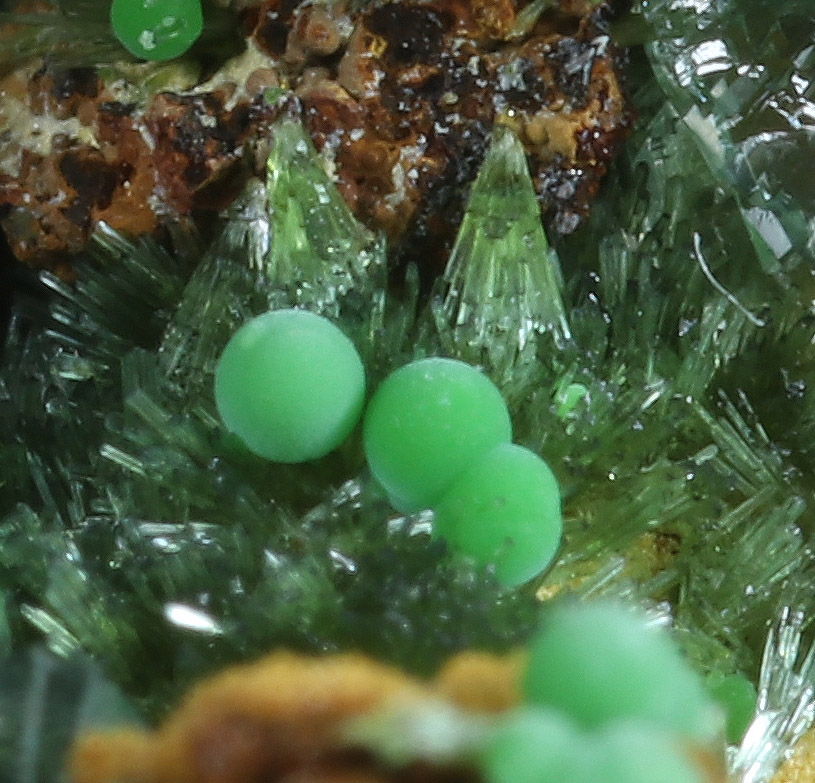 Conichalcite Aragonite & Olivenite