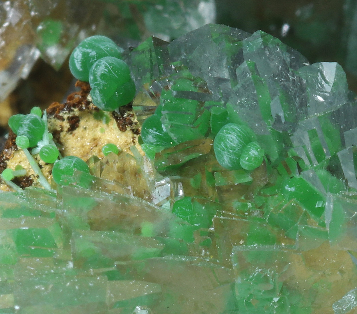 Conichalcite Aragonite & Olivenite