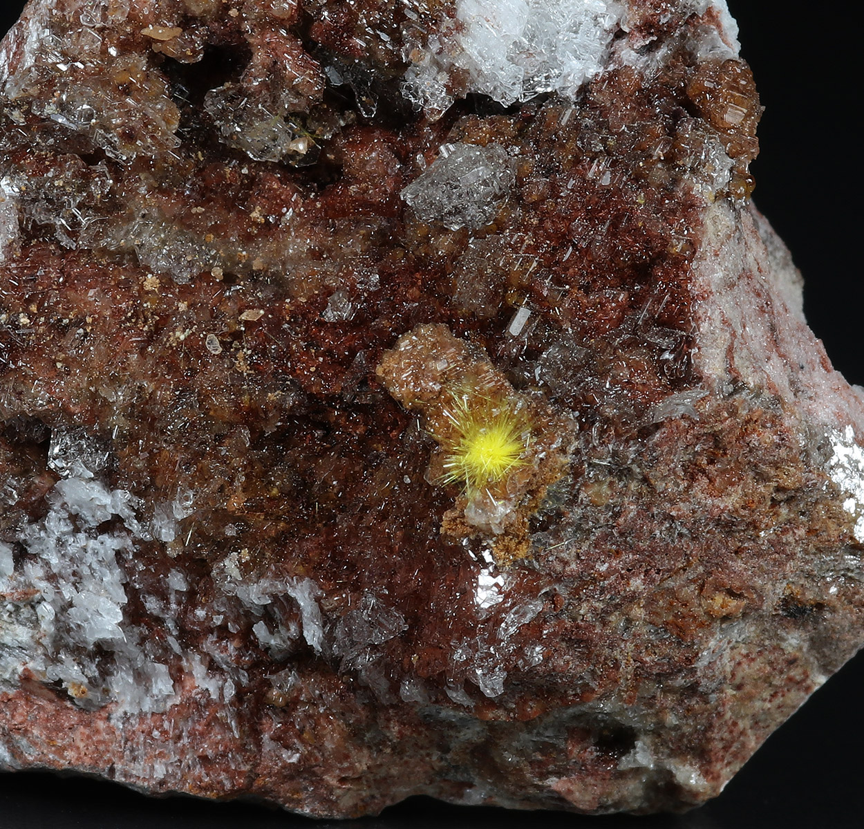 Sklodowskite & Gypsum