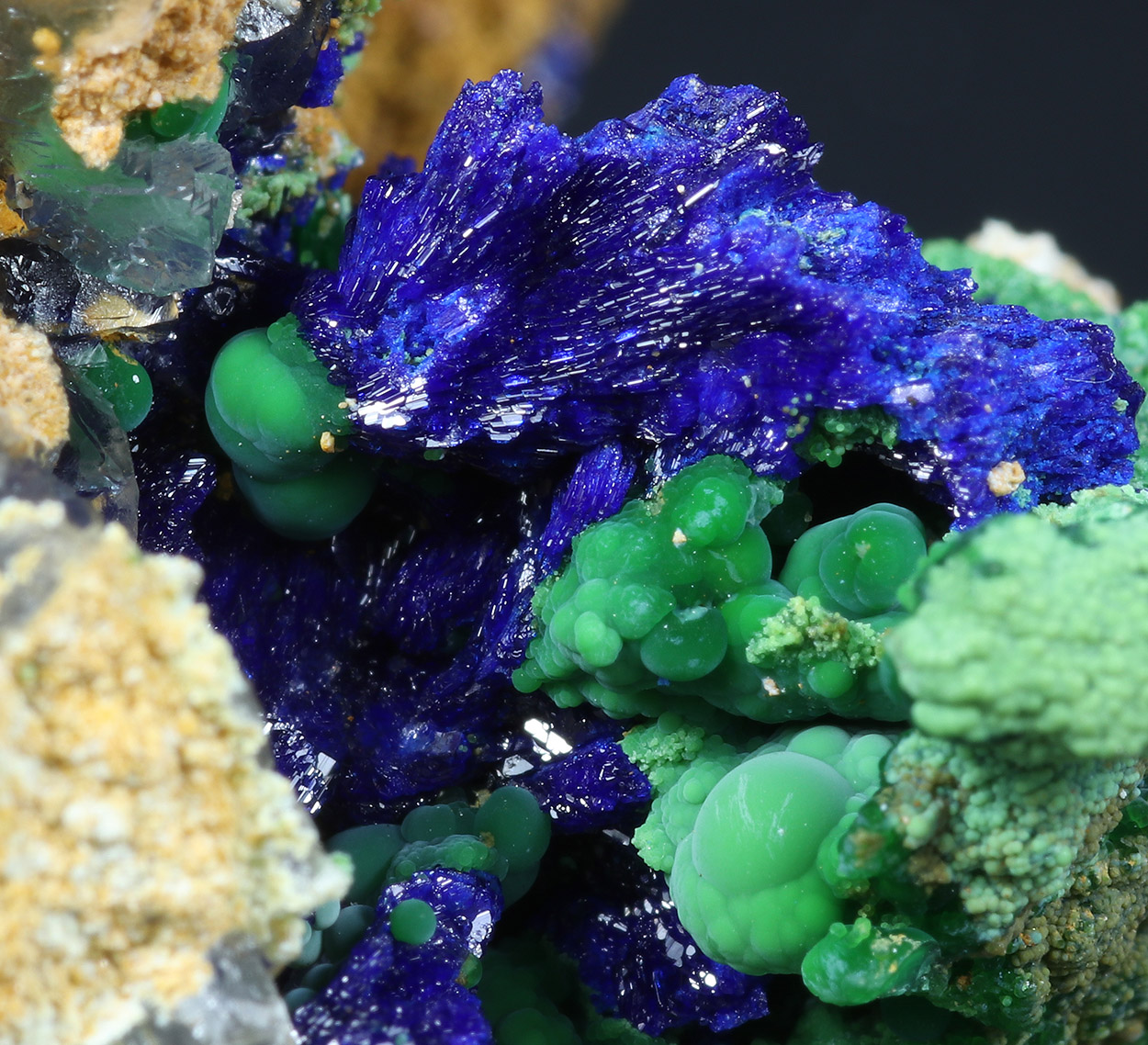 Azurite Conichalcite & Arsenocrandallite