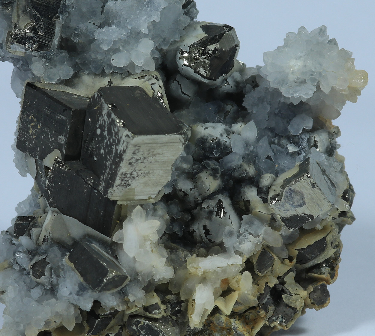 Pyrite & Quartz