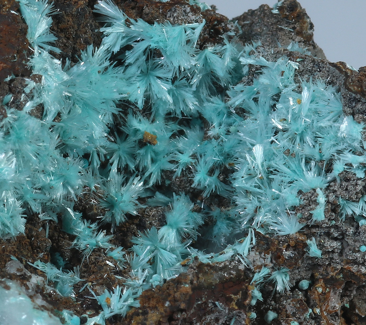 Aurichalcite