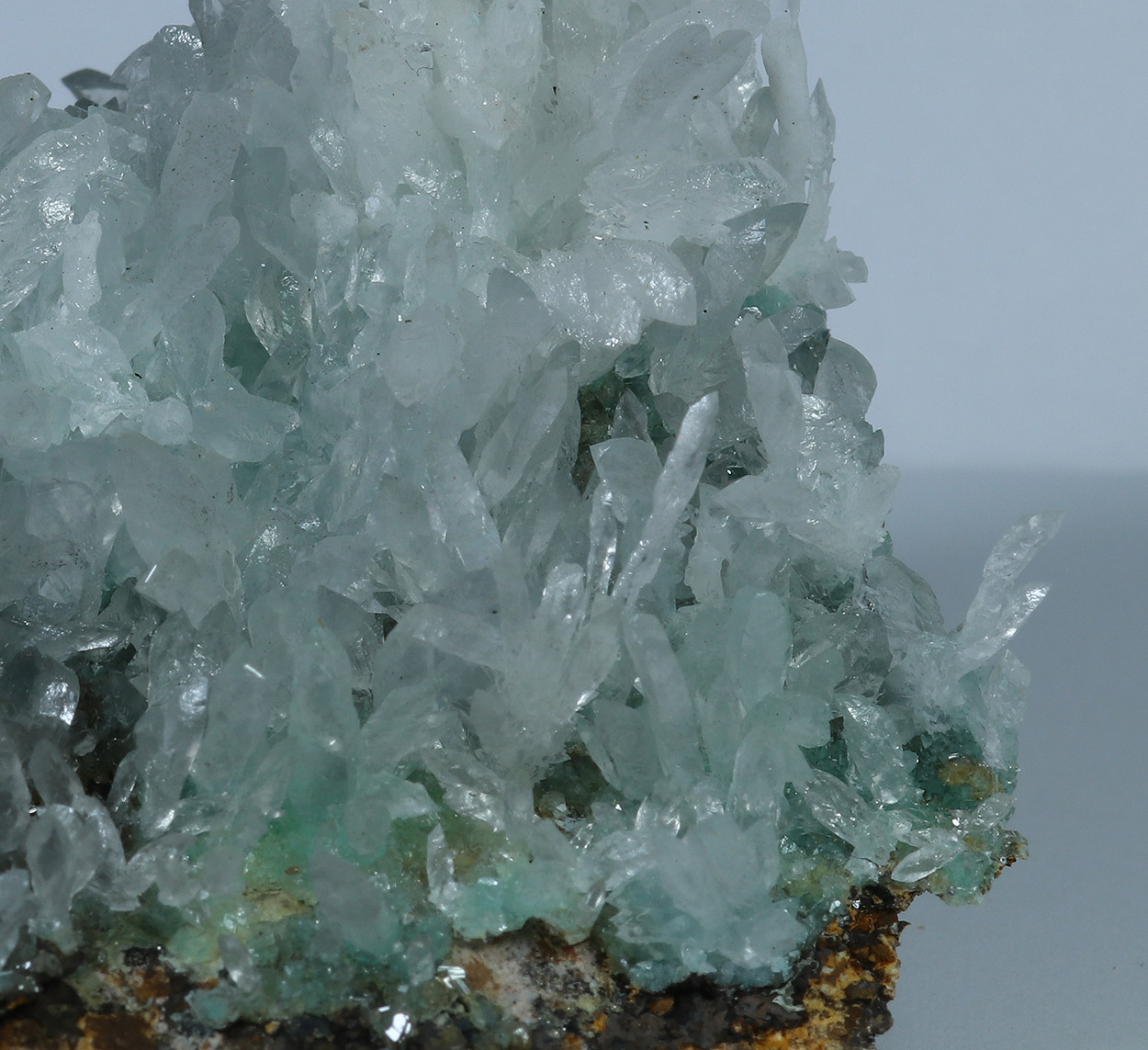 Aragonite & Cuprian Adamite