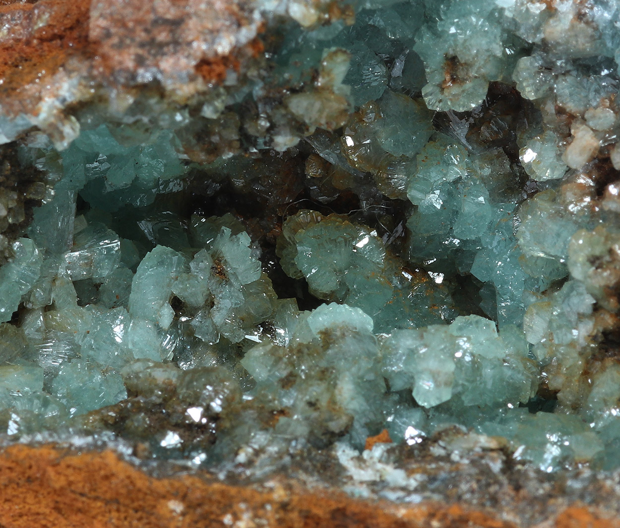 Cuprian Adamite