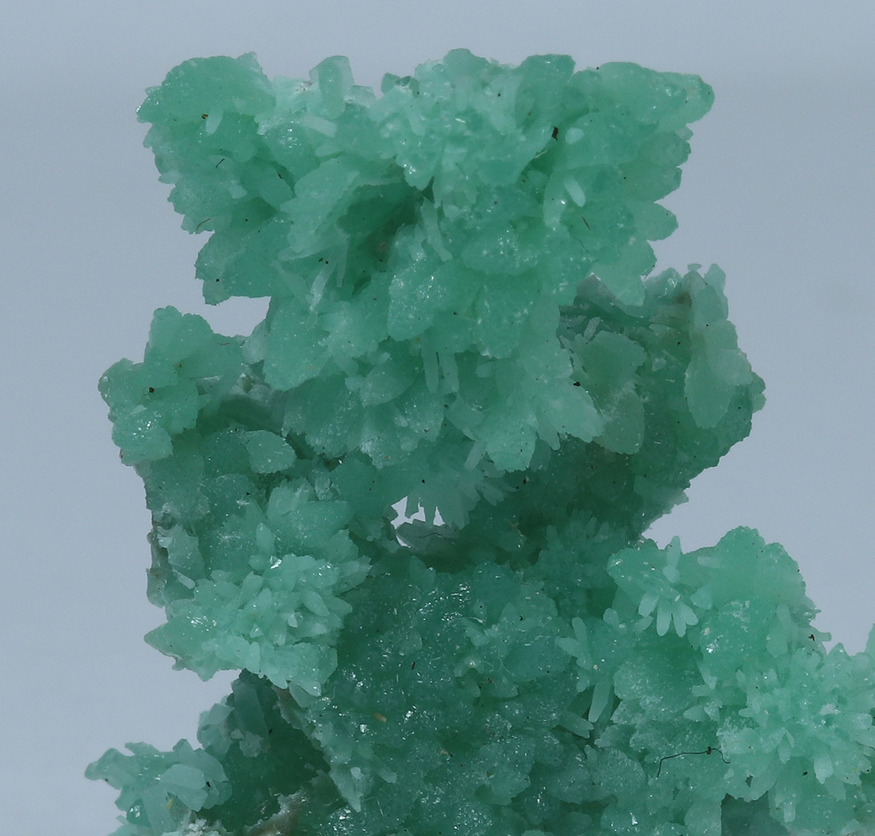 Cuprian Smithsonite