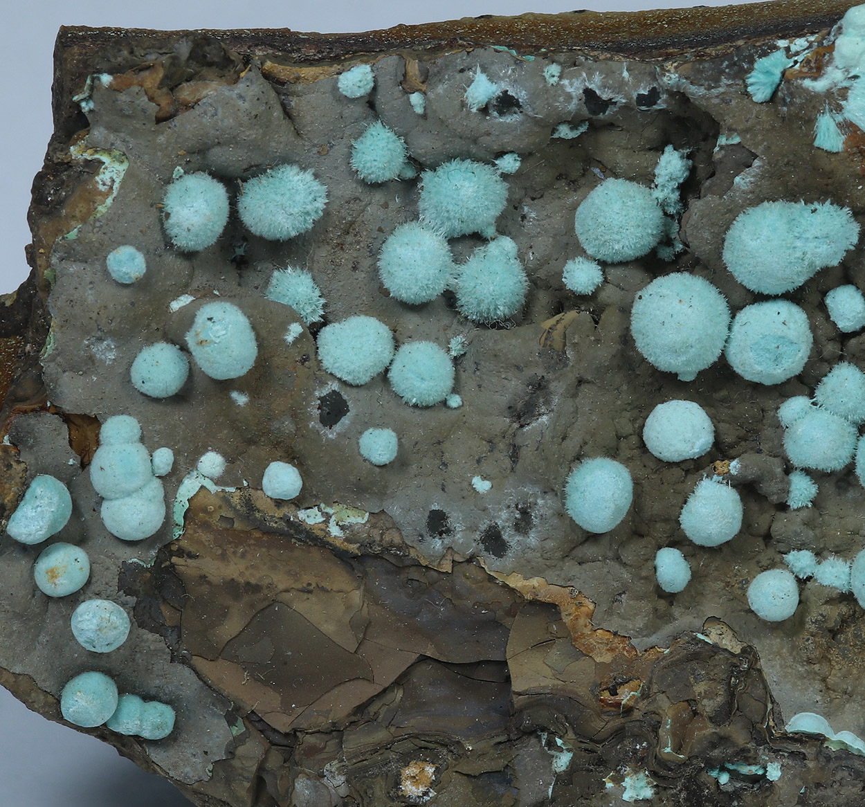 Aurichalcite