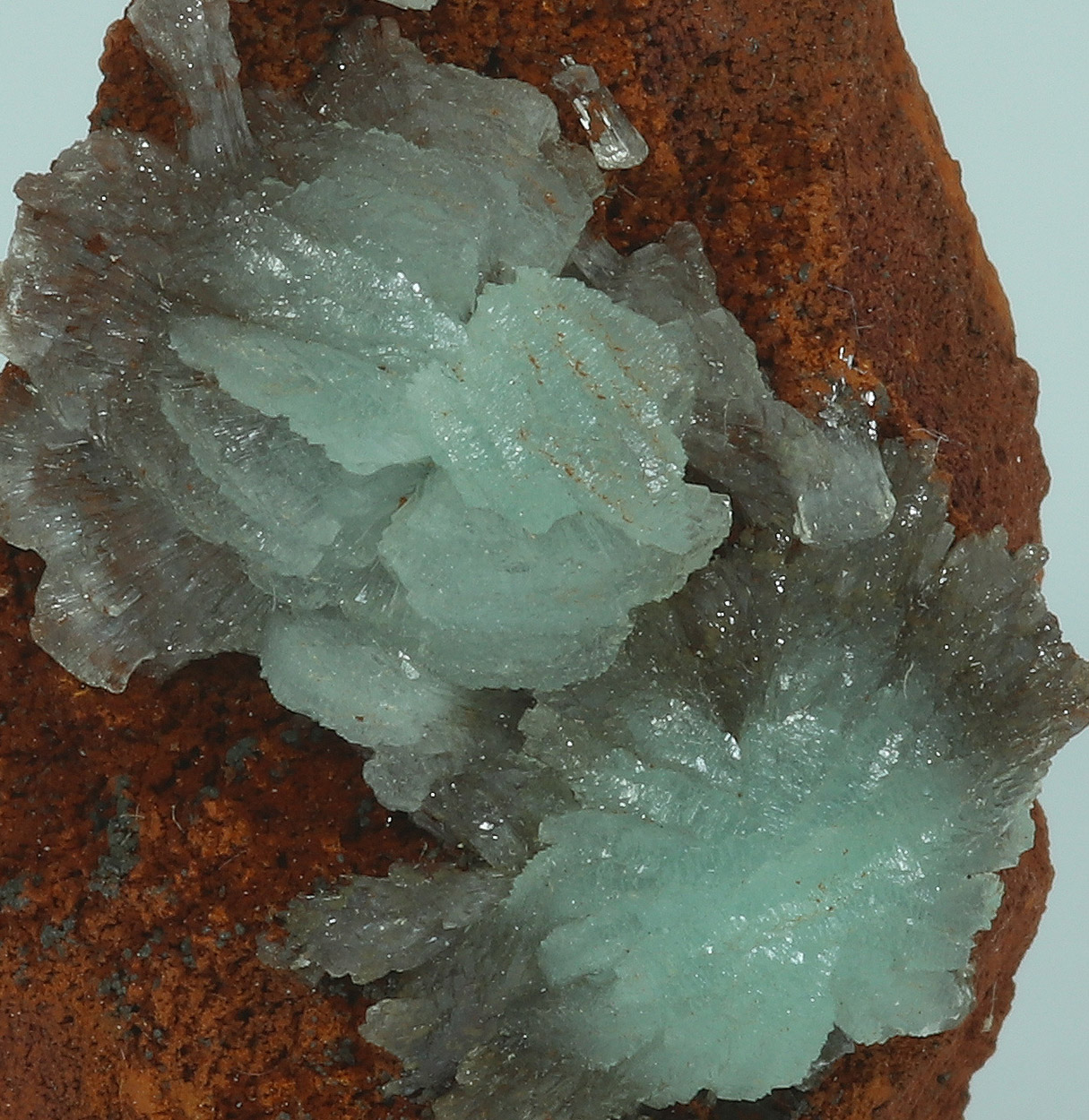 Cuprian Adamite