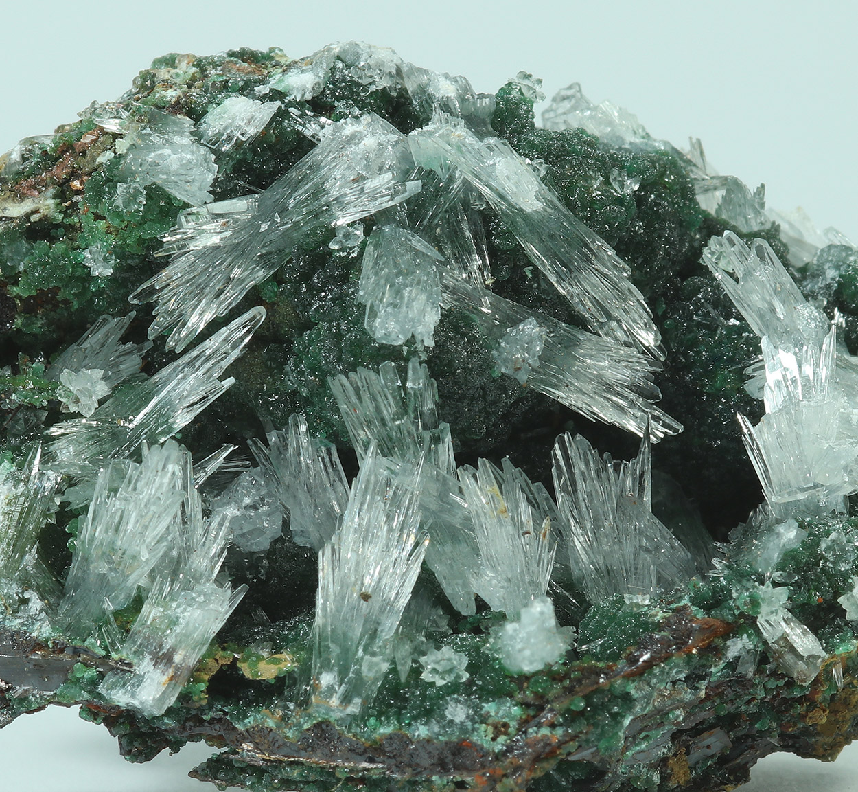 Aragonite & Cuprian Adamite