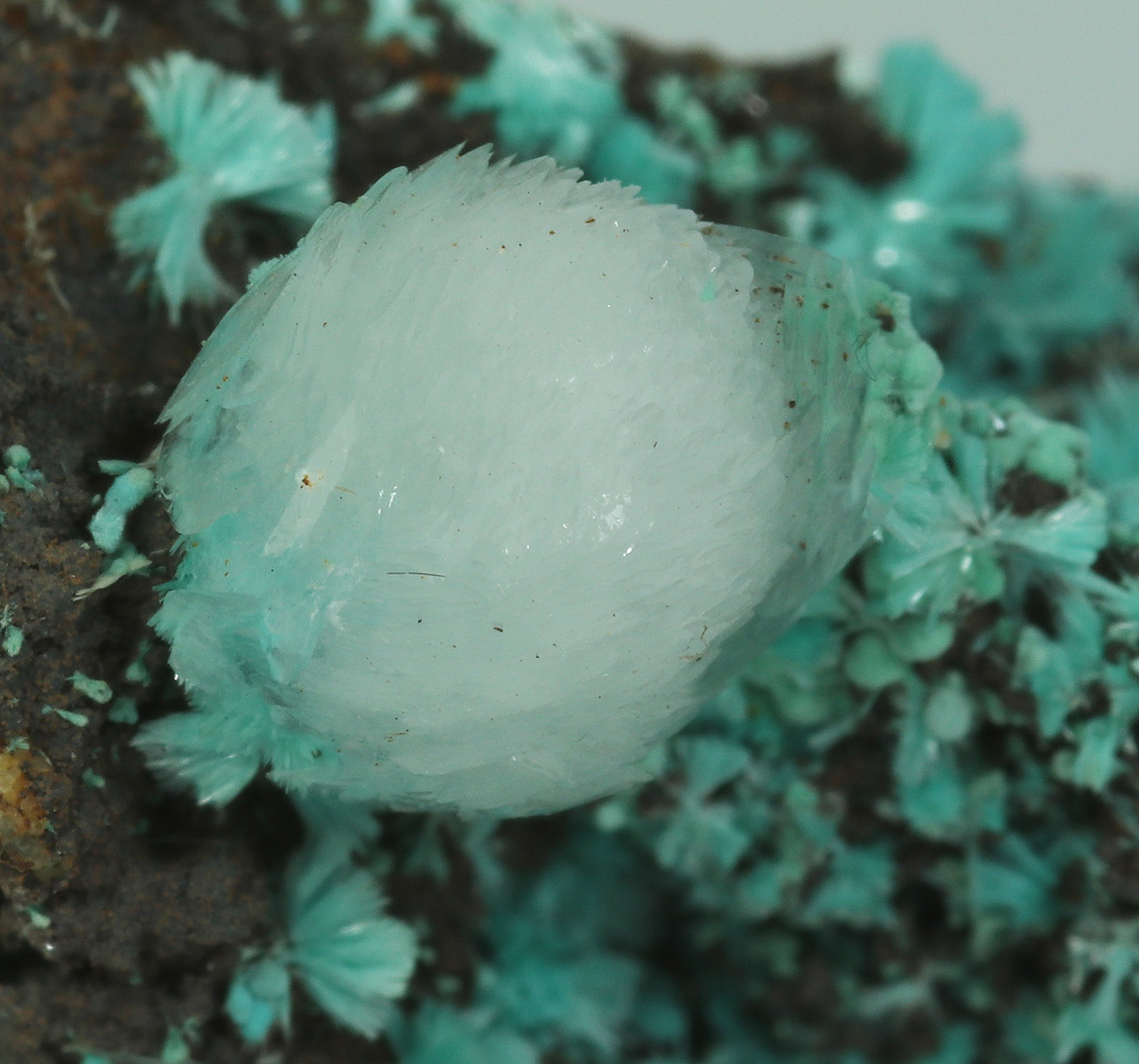 Aurichalcite & Calcite