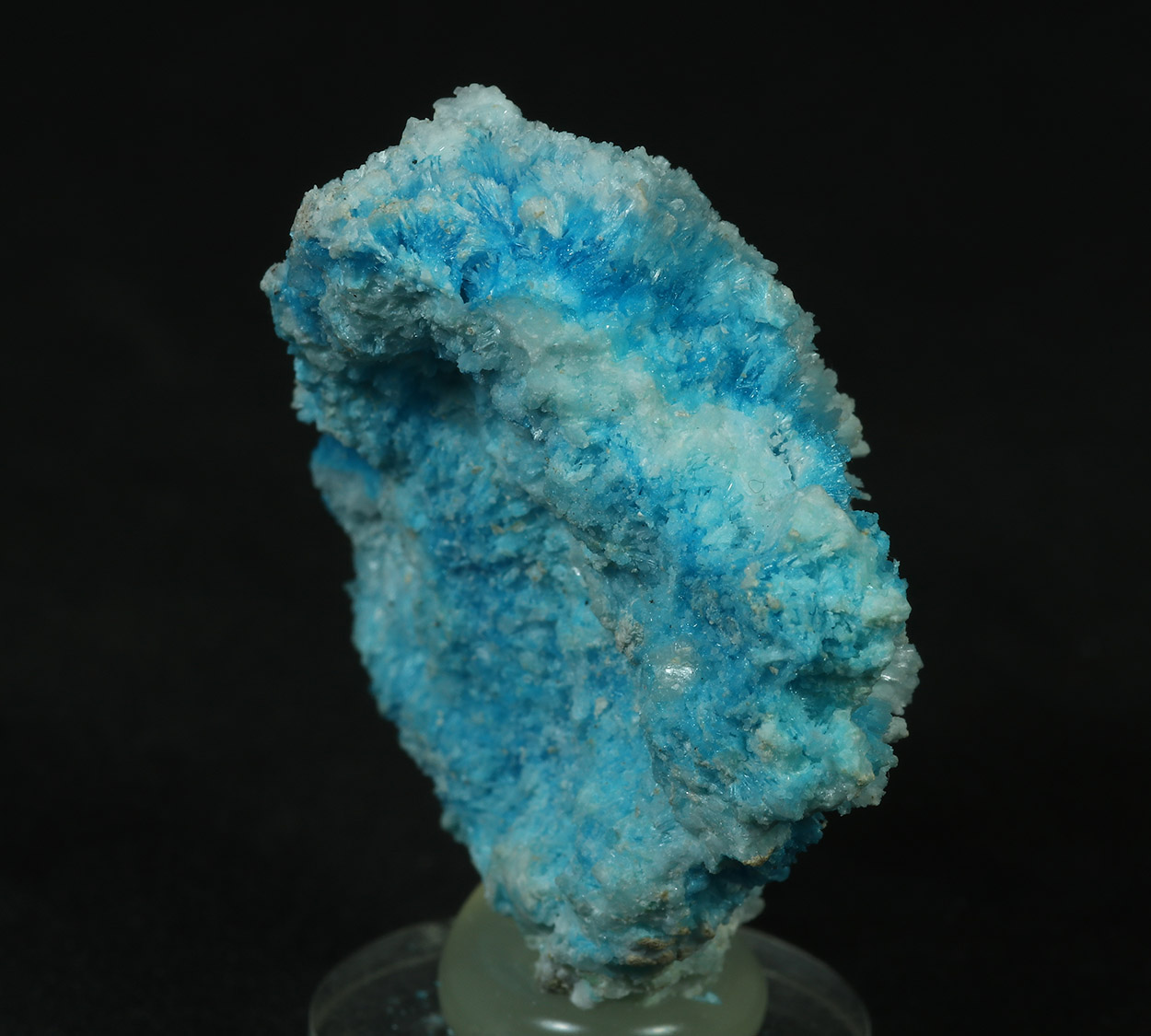 Serpierite & Aragonite