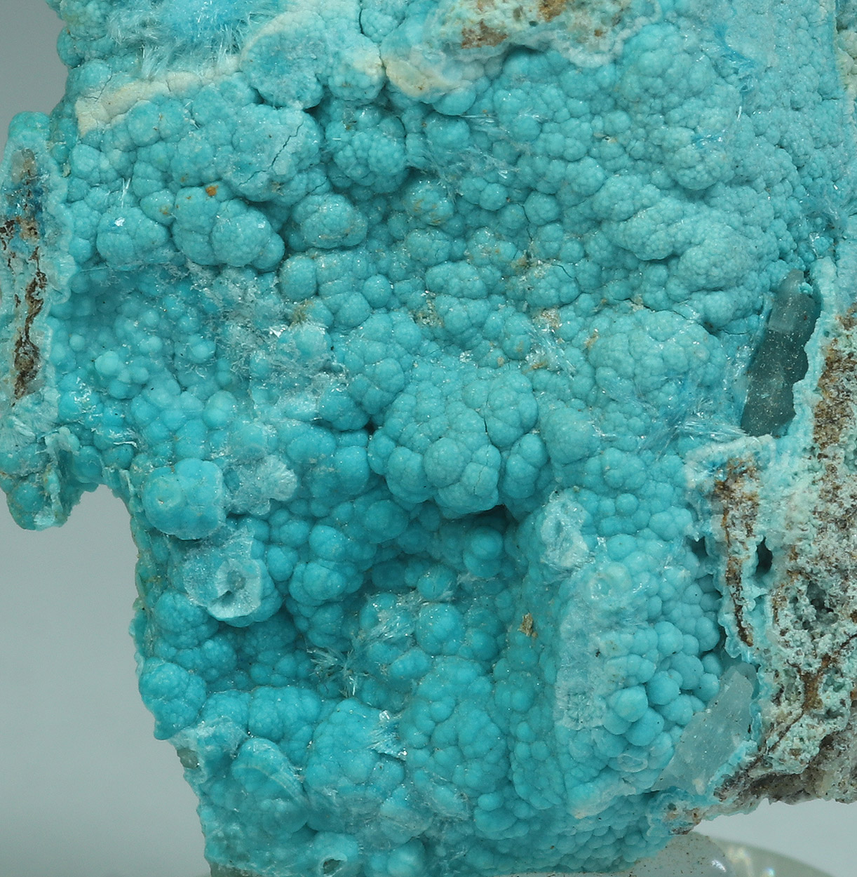 Zincowoodwardite Serpierite & Chrysocolla