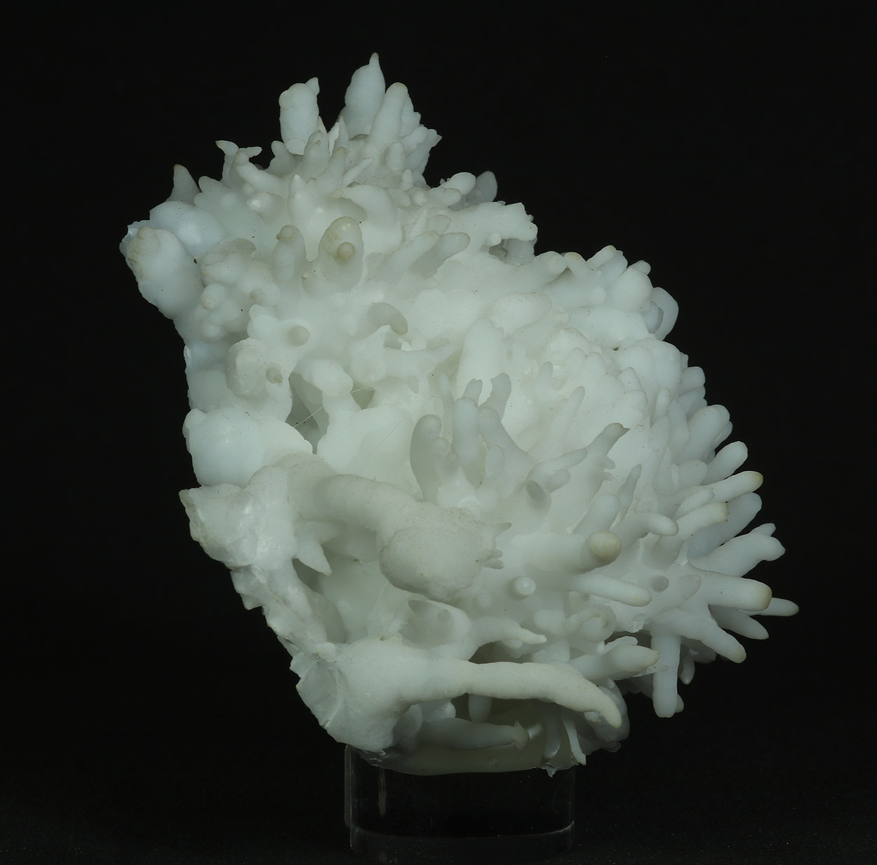 Aragonite Var Flos Ferri