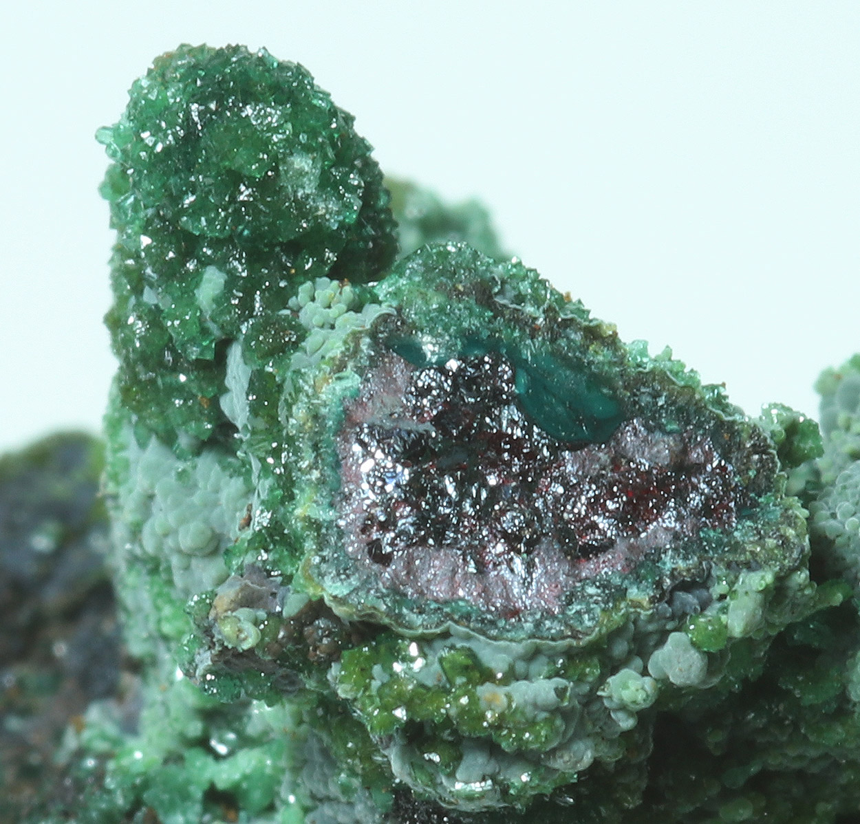 Cuprite Brochantite Aurichalcite Conichalcite Adamite & Malachite