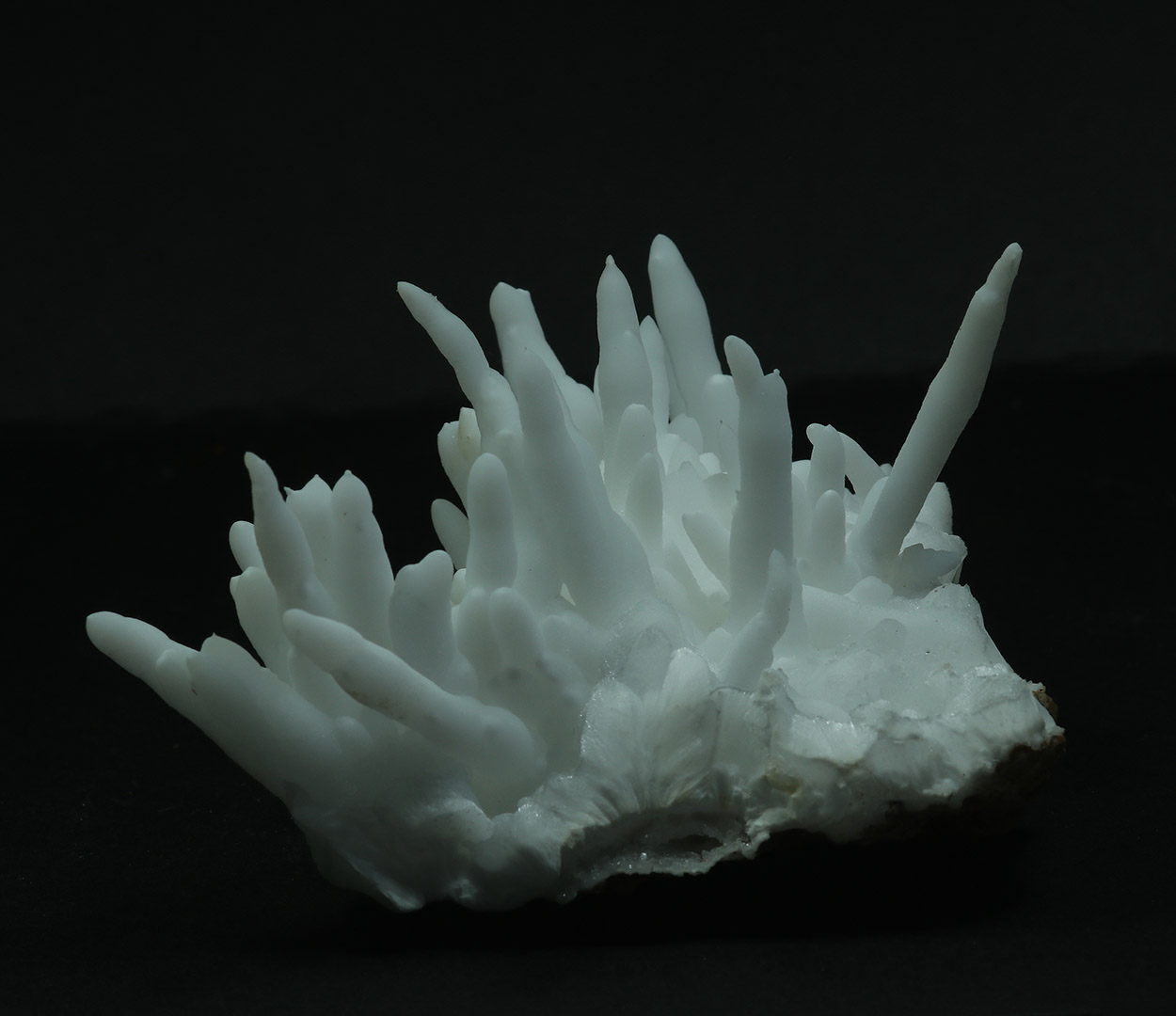 Aragonite Var Flos Ferri