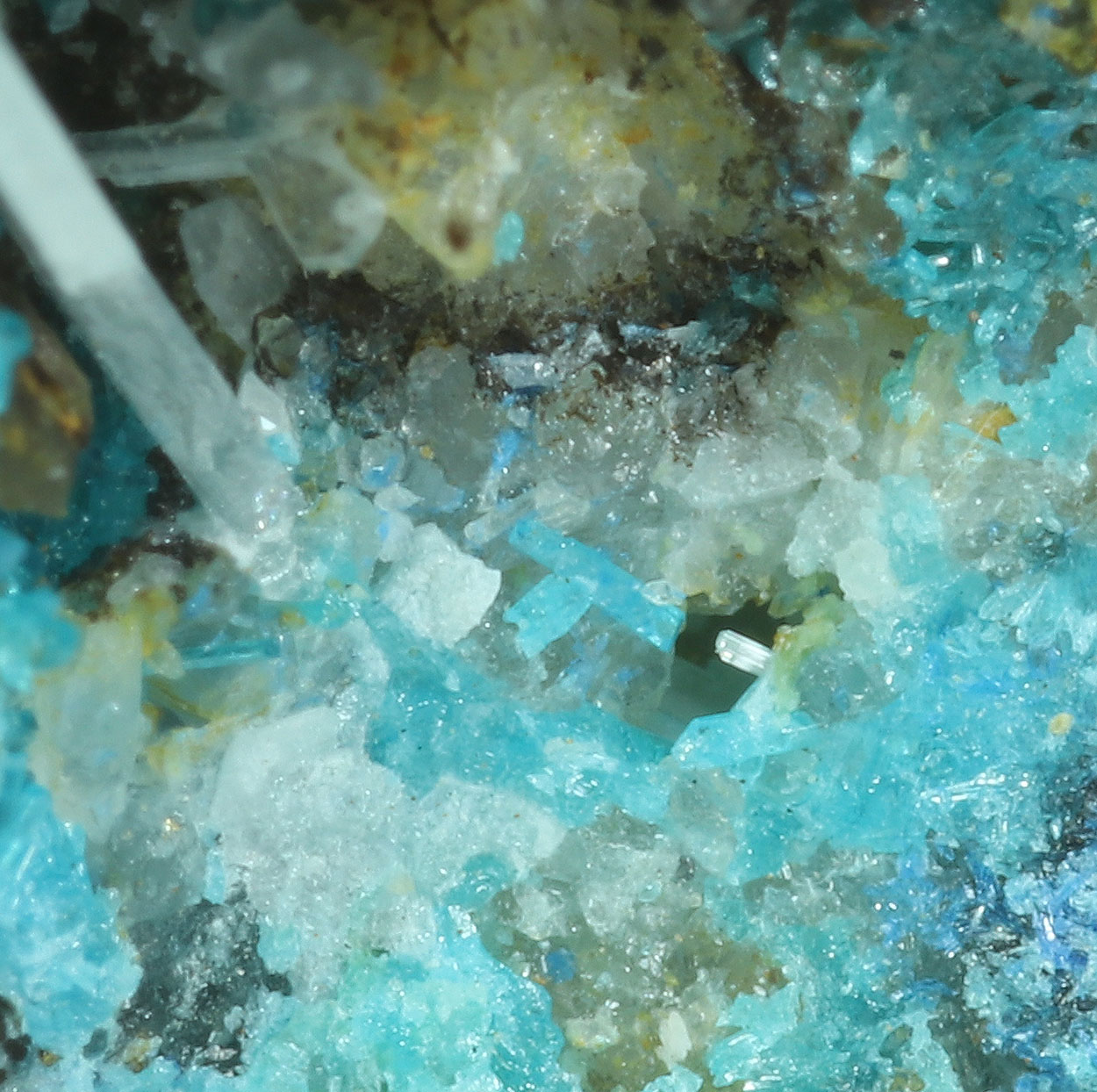 Caledonite & Cerussite