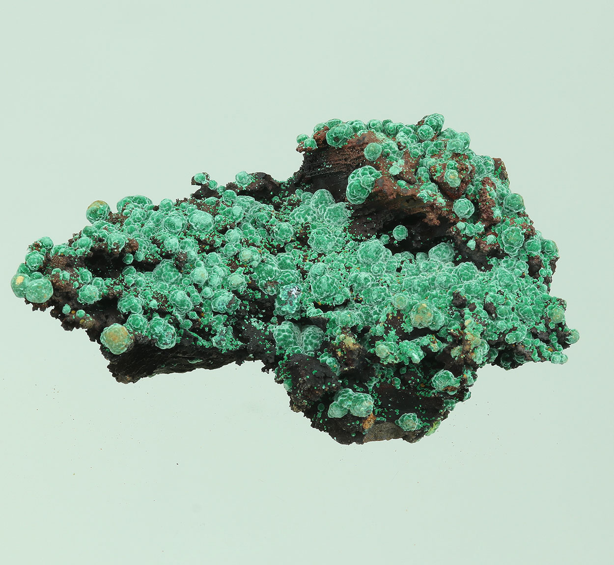 Cuprite & Malachite