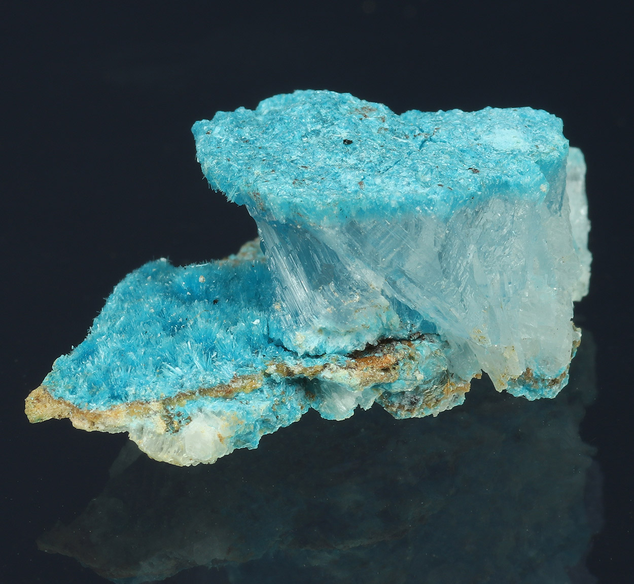 Serpierite & Gypsum