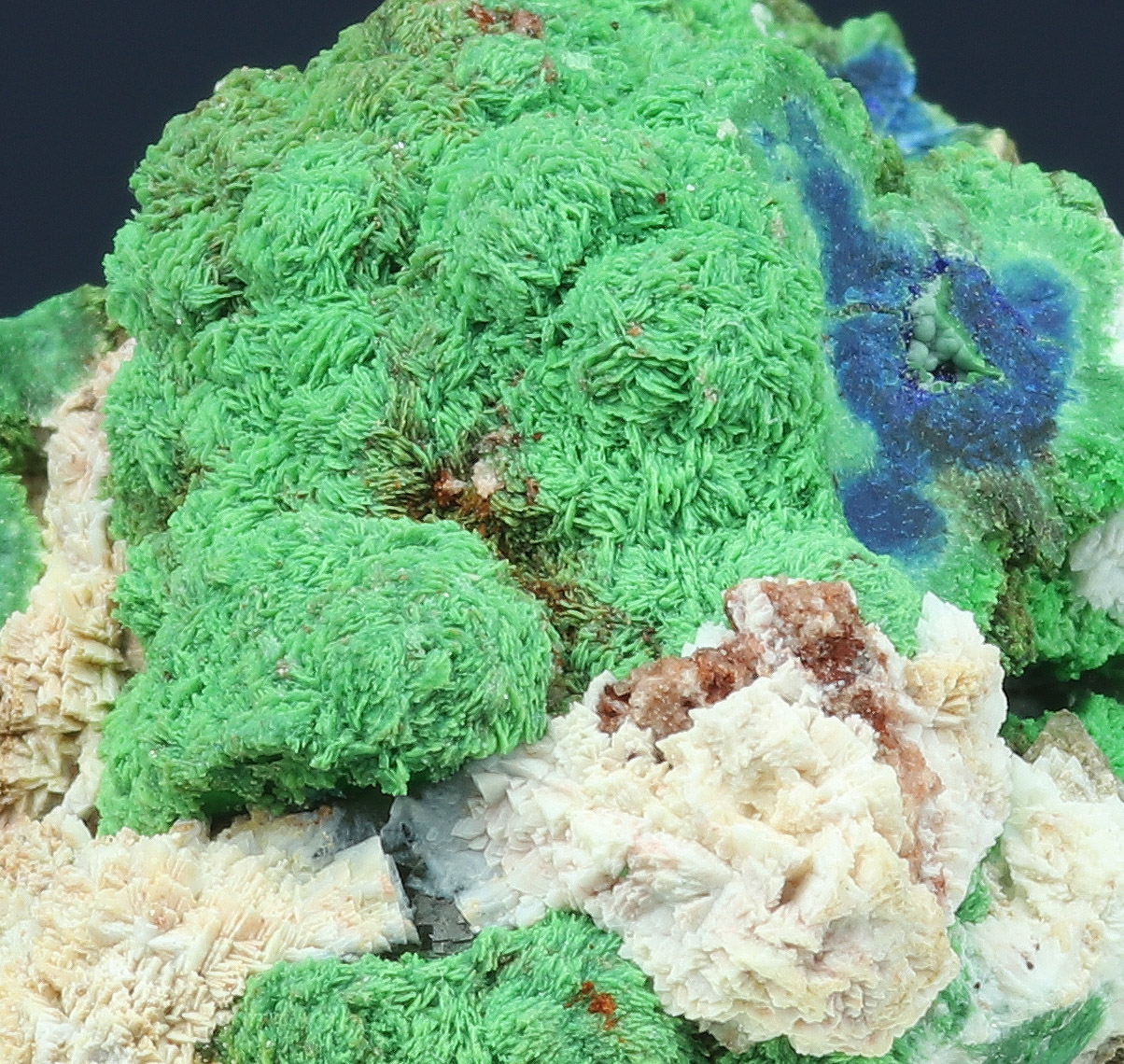 Conichalcite Psm Azurite